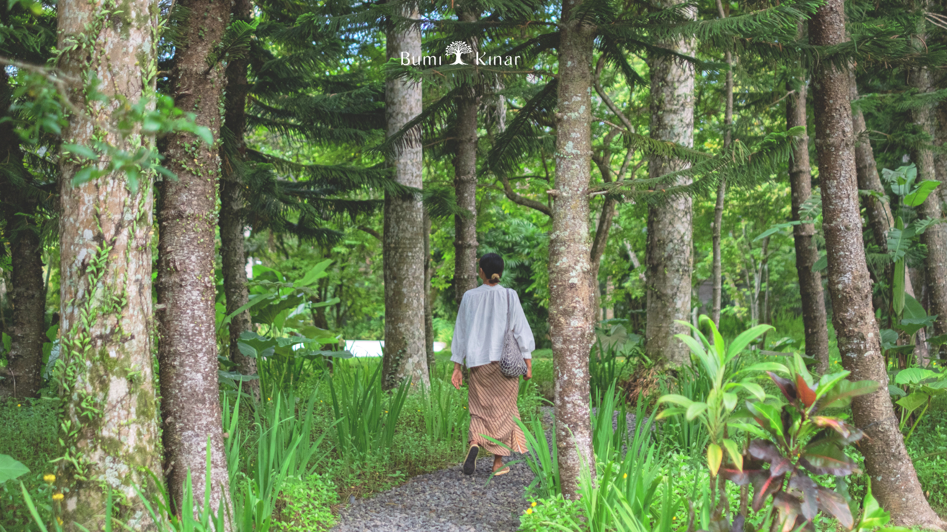 Early bird bumi kinar