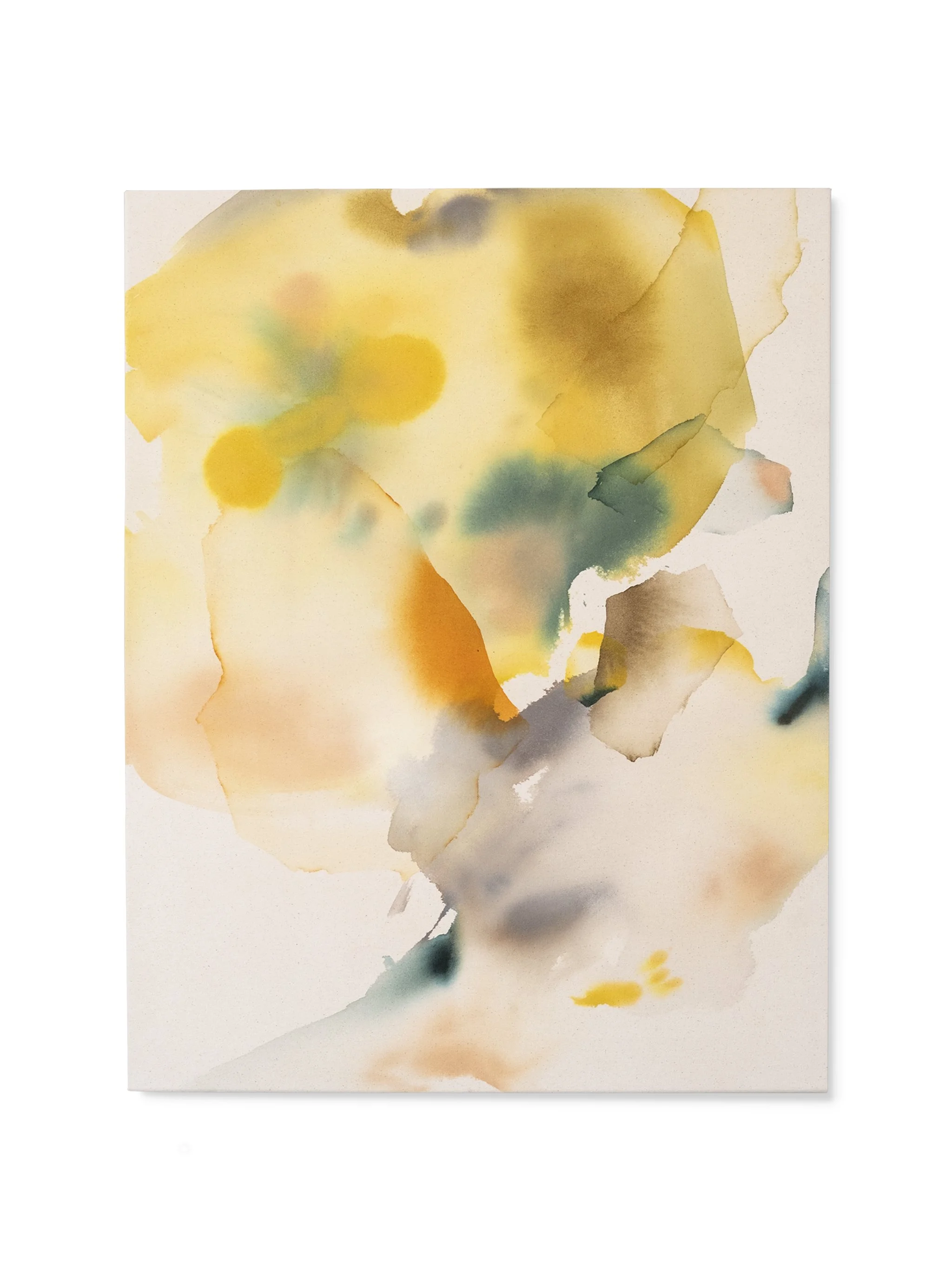 white background-sun.jpg