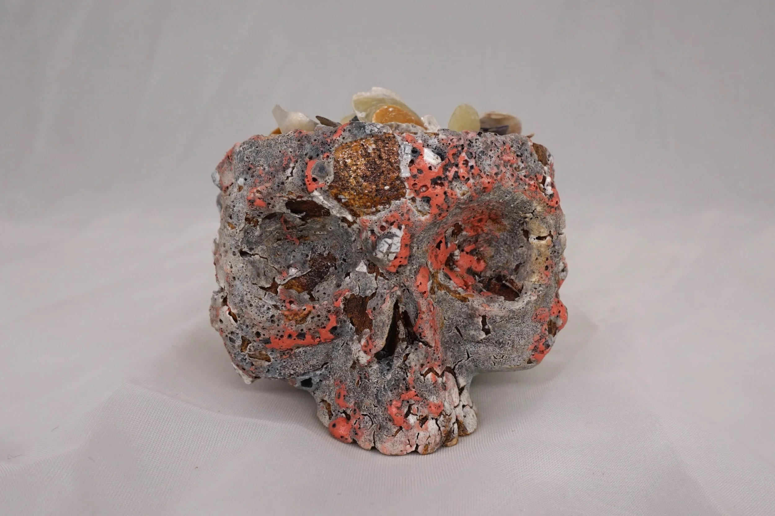 Mermaid Skull • Coral