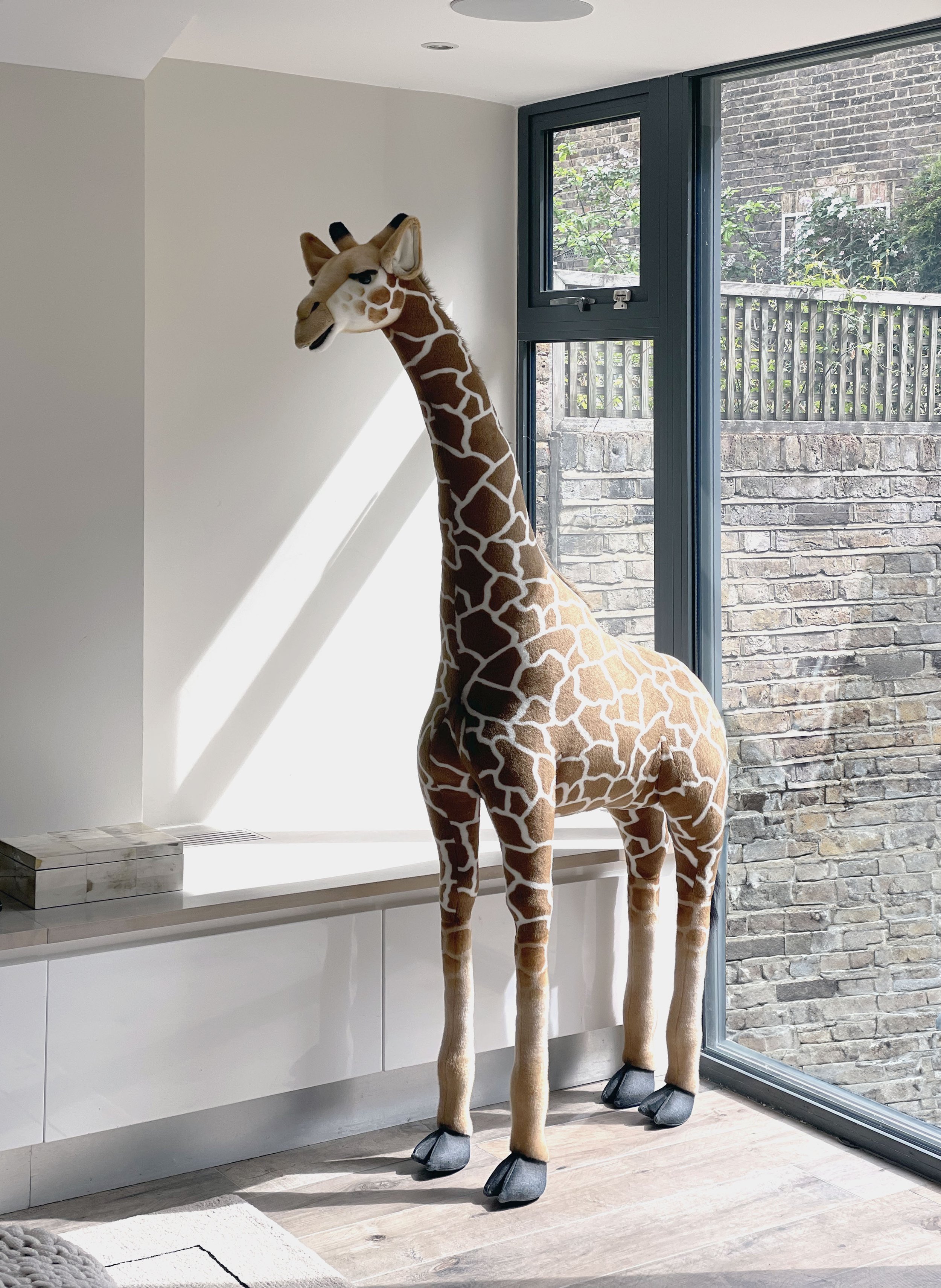 Giraffe.jpg