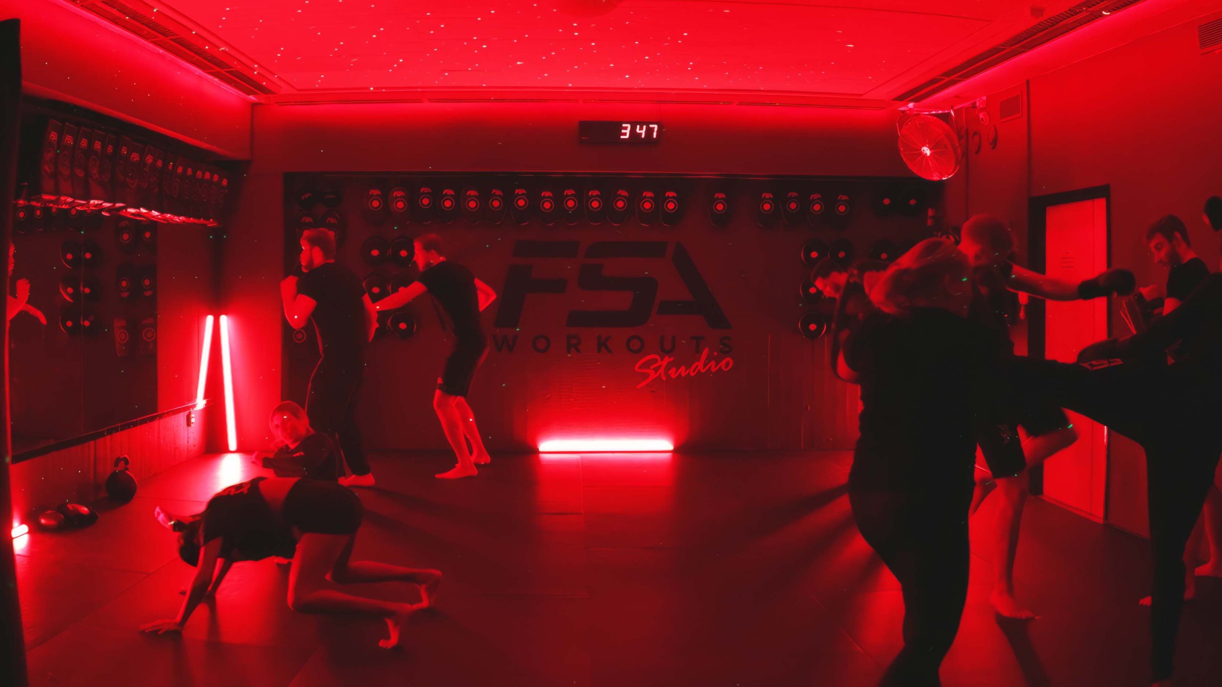 FIGHT PERFORMANCE.jpg