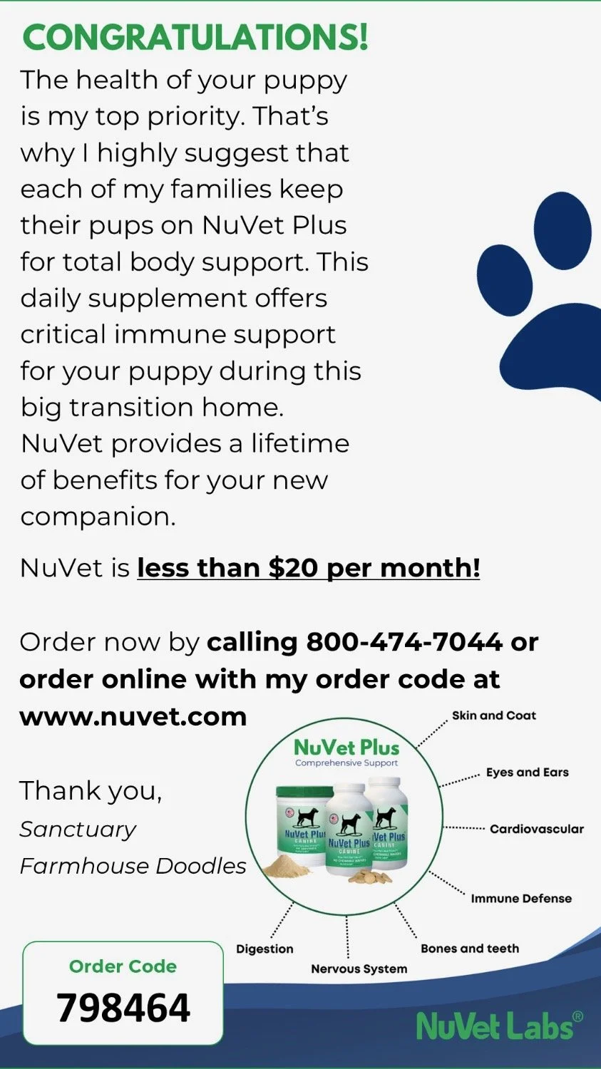 Advertisement for NuVet Plus supplement emphasizing health benefits for puppies, including skin, coat, eyes, ears, cardiovascular health, immune defense, digestion, nervous system, and bones and teeth. Contains product images and order information.