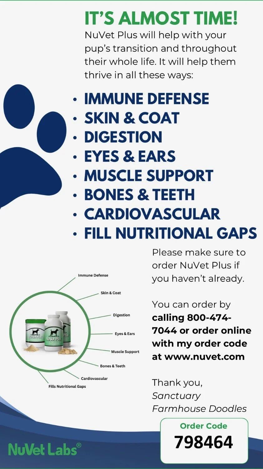 A promotional flyer for NuVet Plus pet supplements highlighting benefits for immune defense, skin and coat, digestion, eyes and ears, muscle support, bones and teeth, cardiovascular health, and filling nutritional gaps, with order instructions and an order code at the bottom.