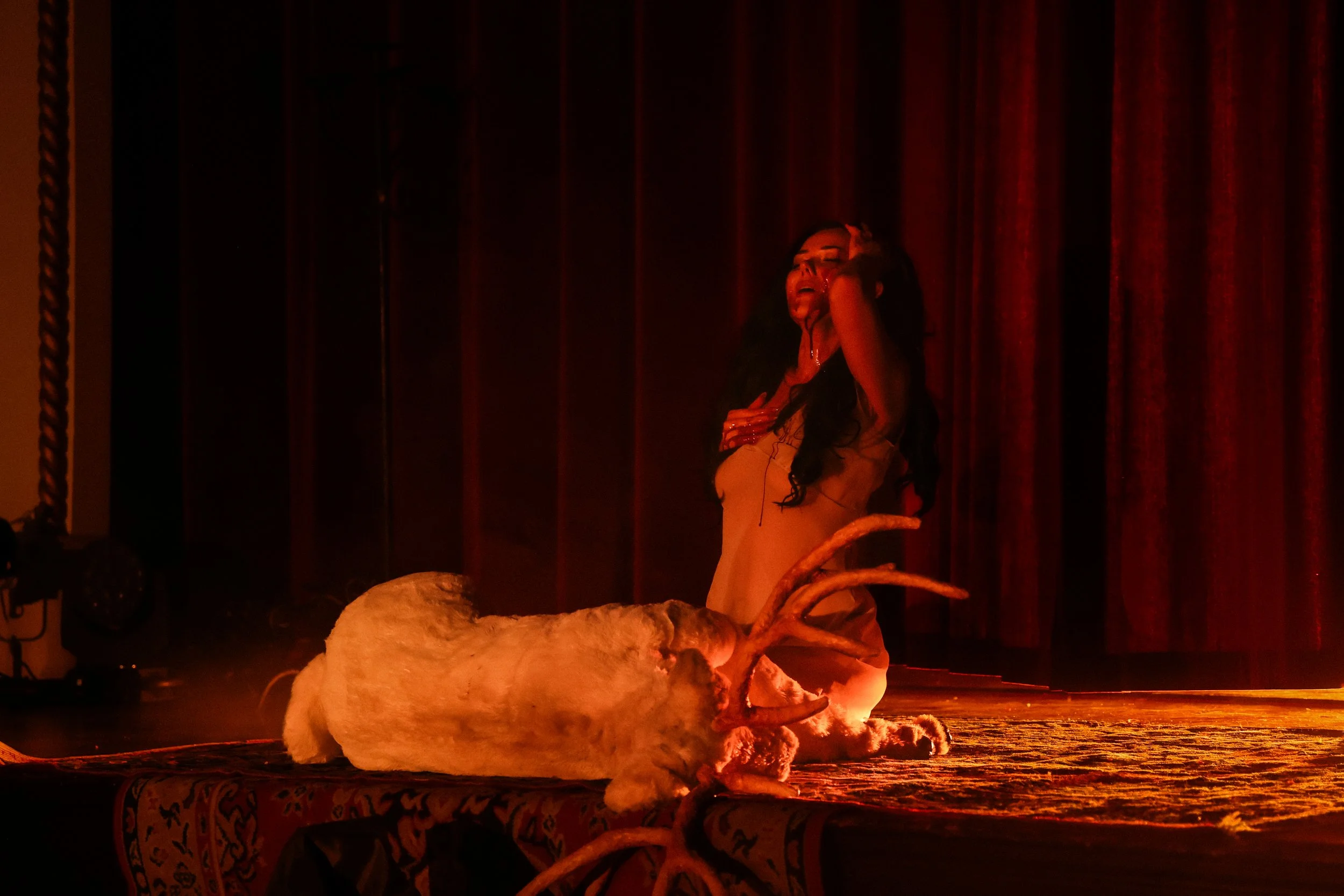 2025_MACBETH_OLIVER_HALL_PH_KATE_CAMERON41.jpg