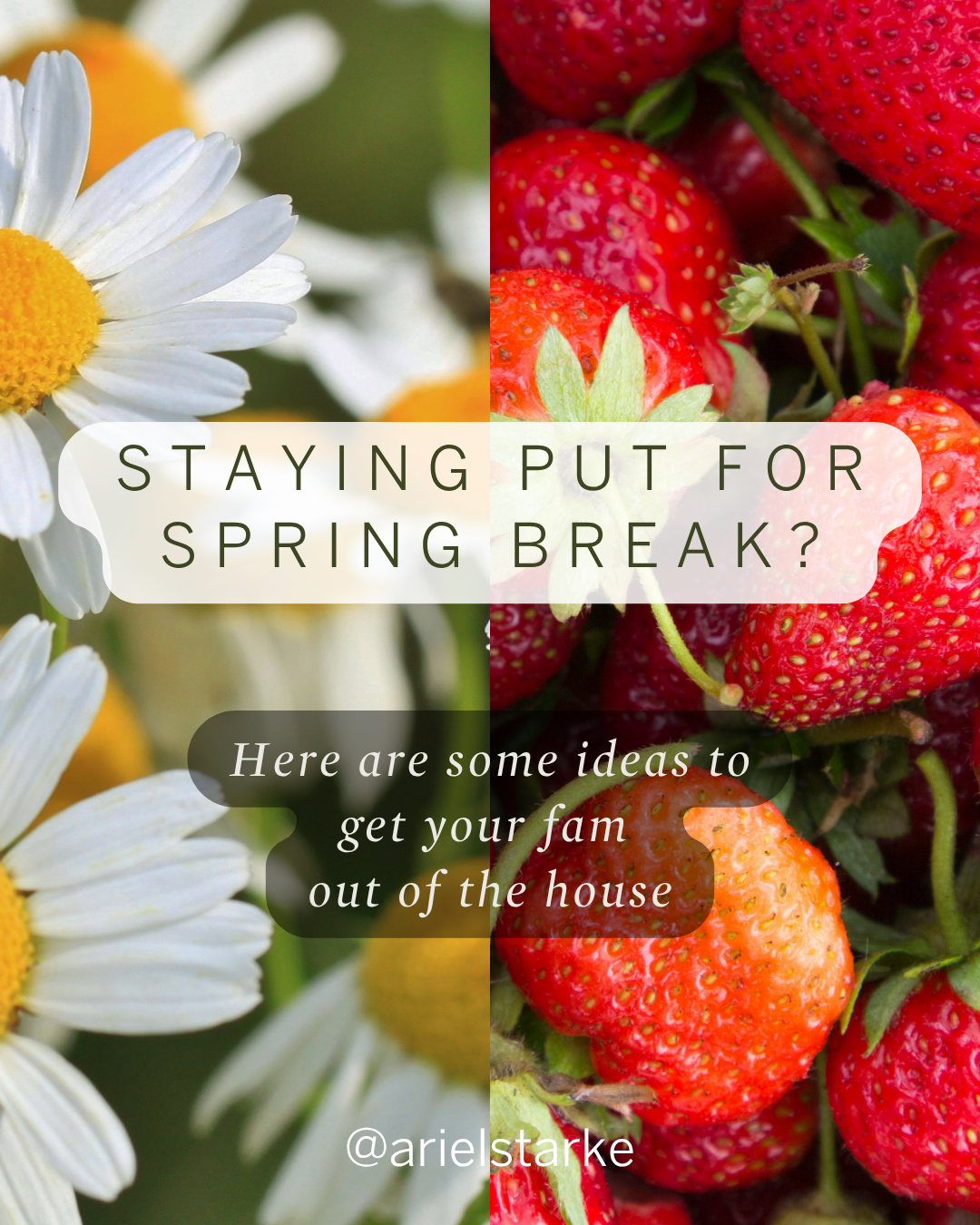 Staying put for Spring Break? Here are some great ways to get your fam of the house: