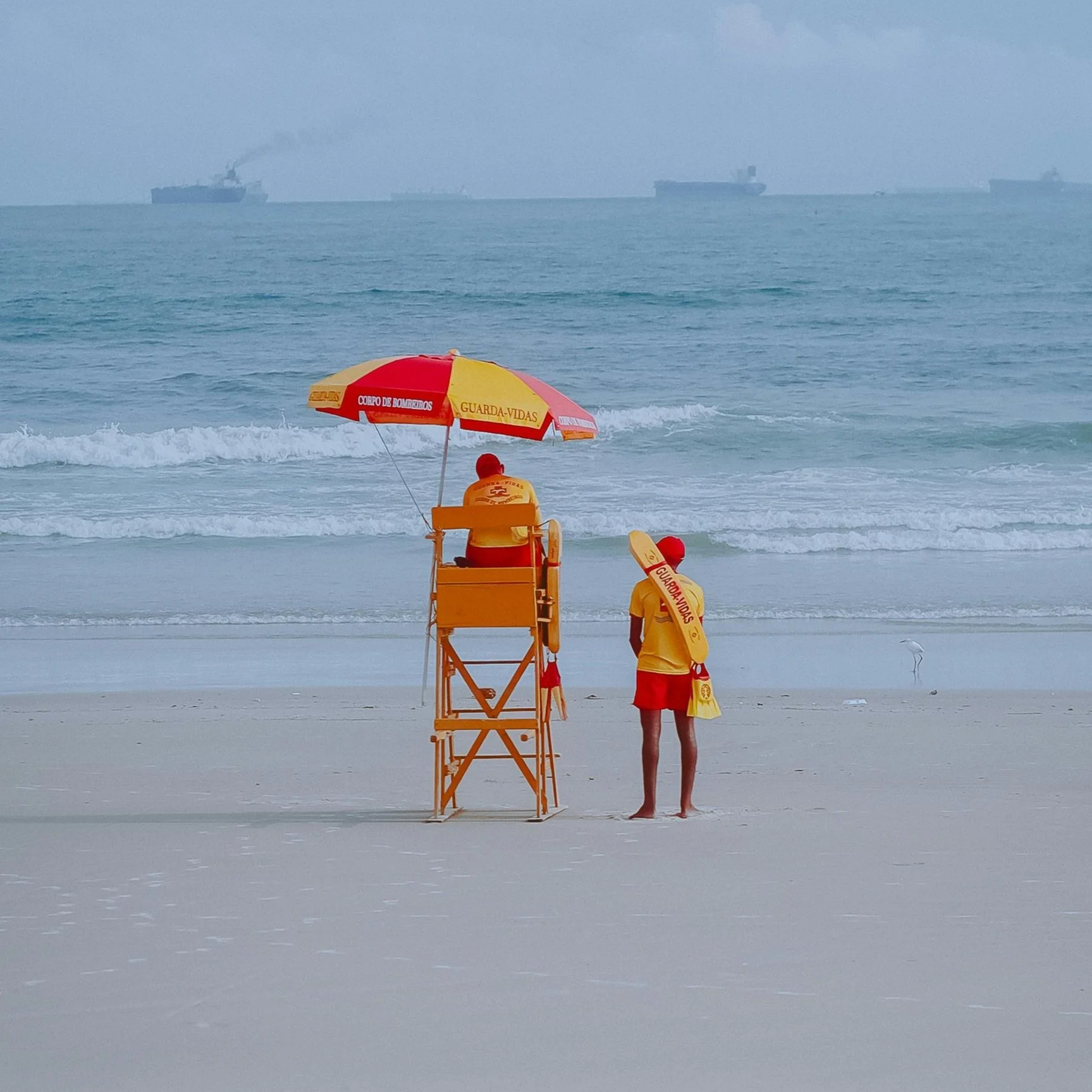Lifeguard Services