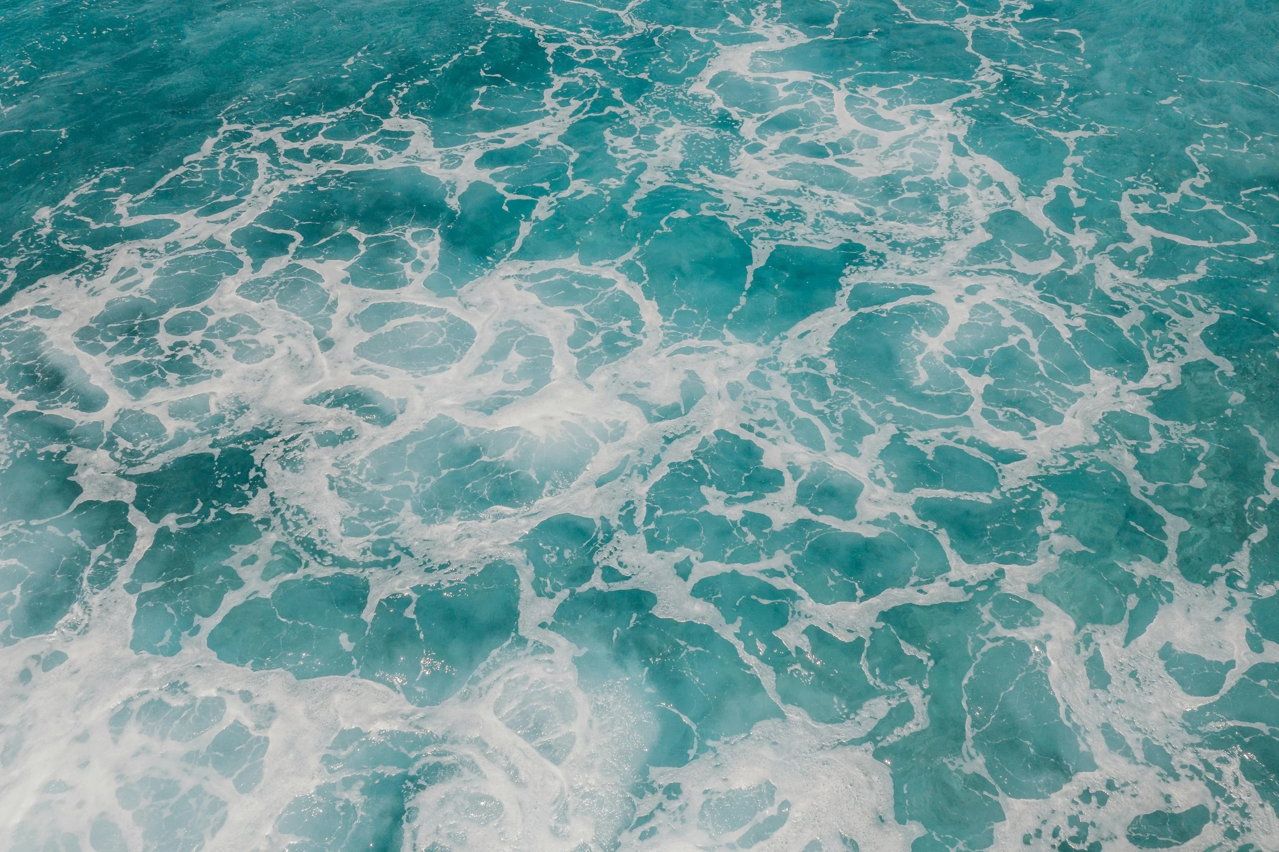 pexels-jess-vide-4601693.jpg
