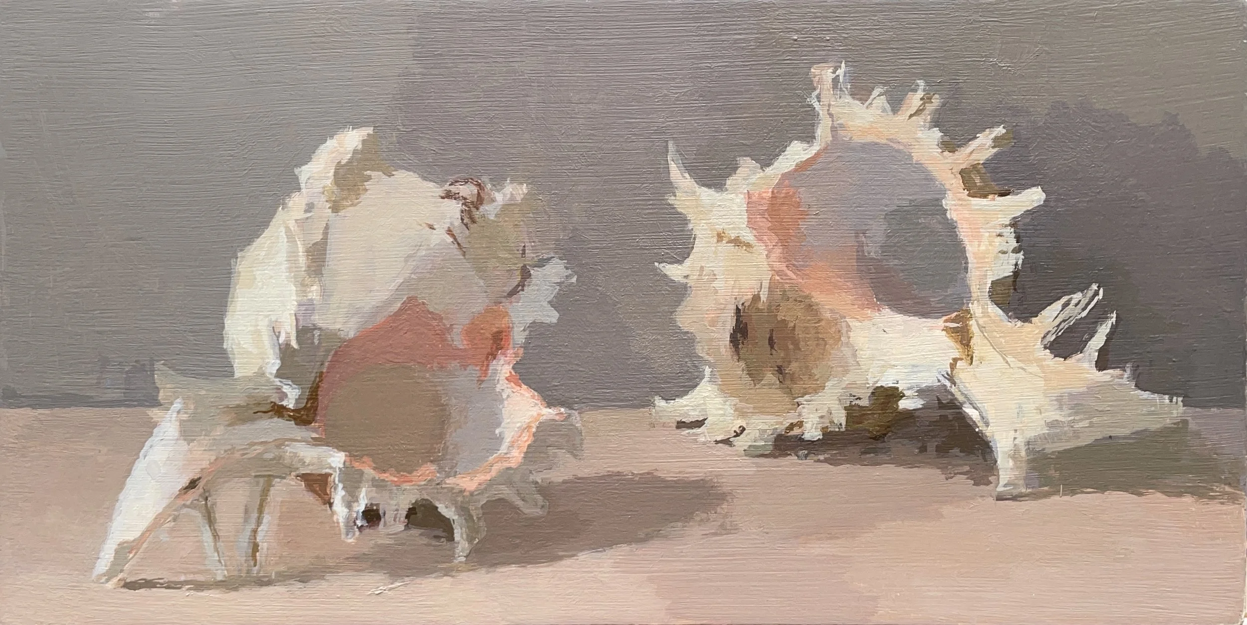 Murex Shells, 2020, oil on panel, 15x30cm