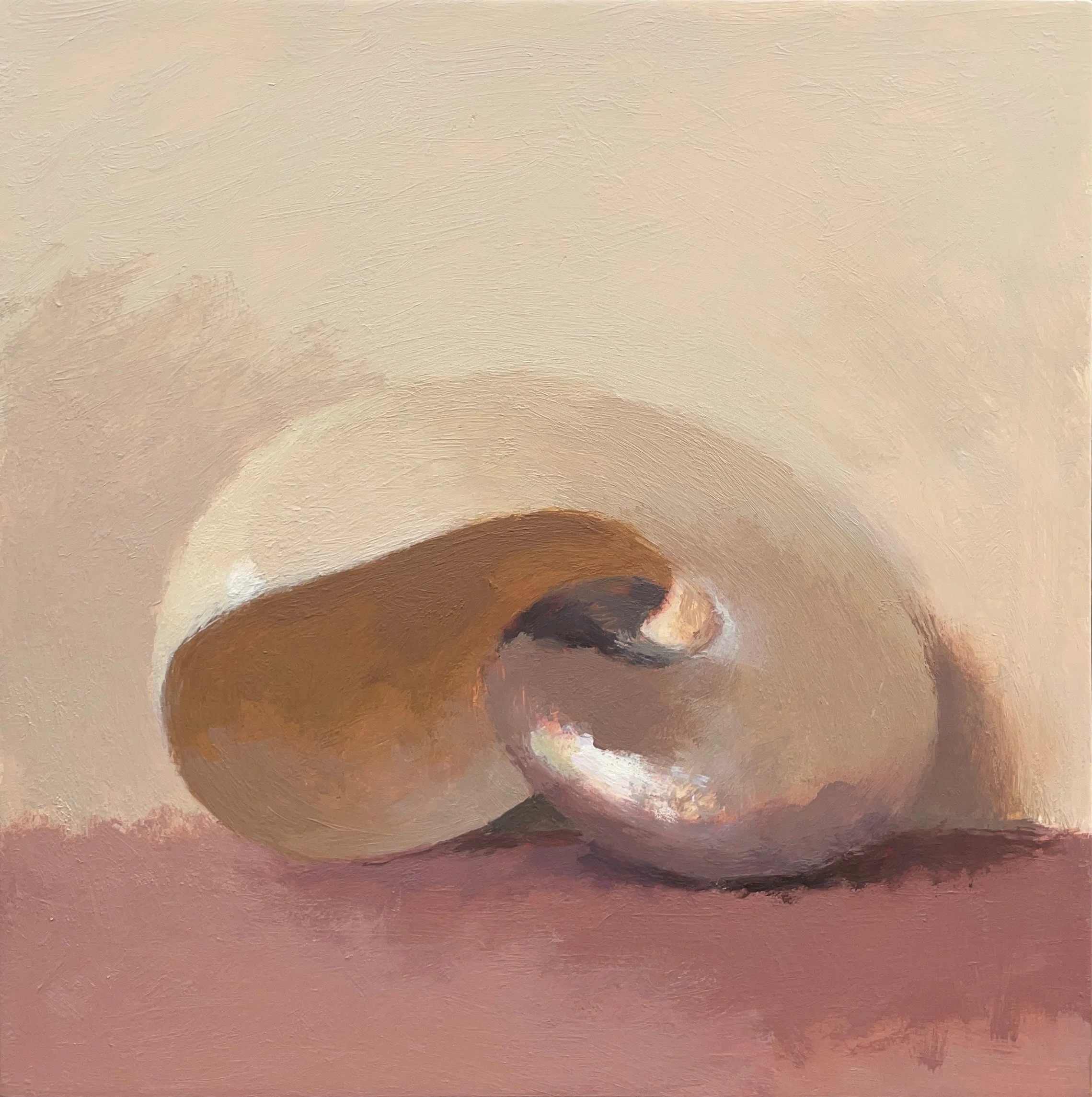 Pearl Nautilus (from an old collection), 2026, oil on panel, 20x20cm