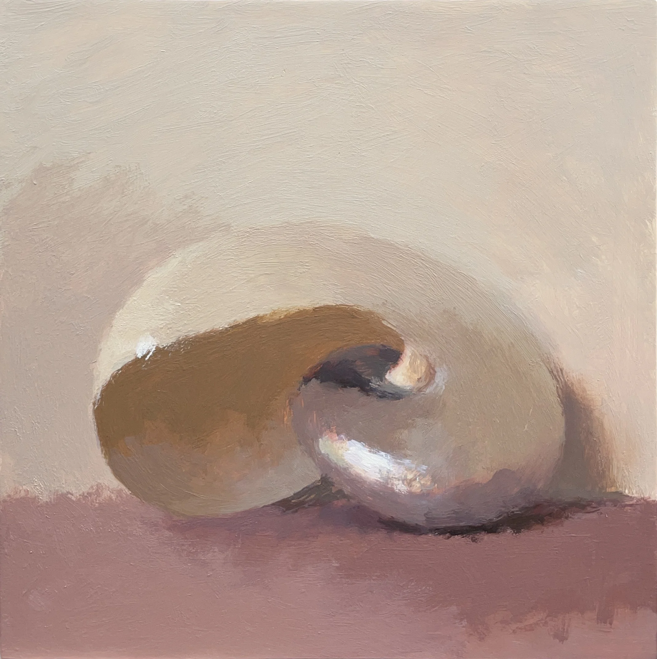 Pearl Nautilus (endangered; from an old collection), 2026, oil on panel, 20x20cm