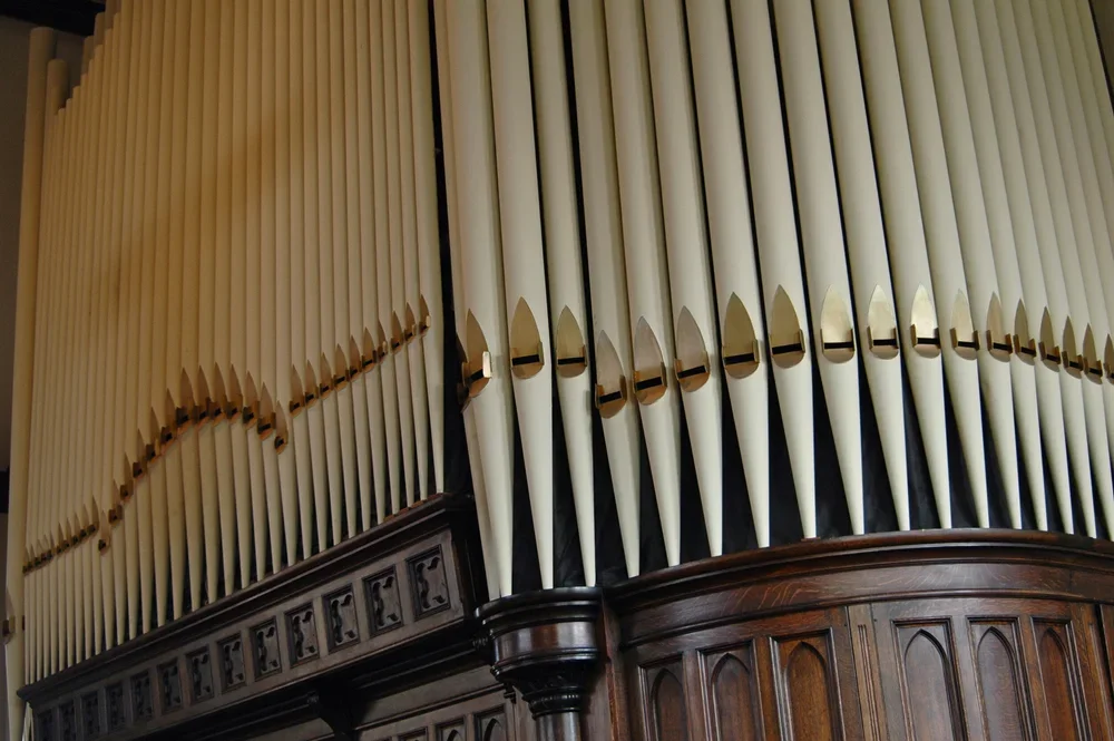 Organ+-+2.webp