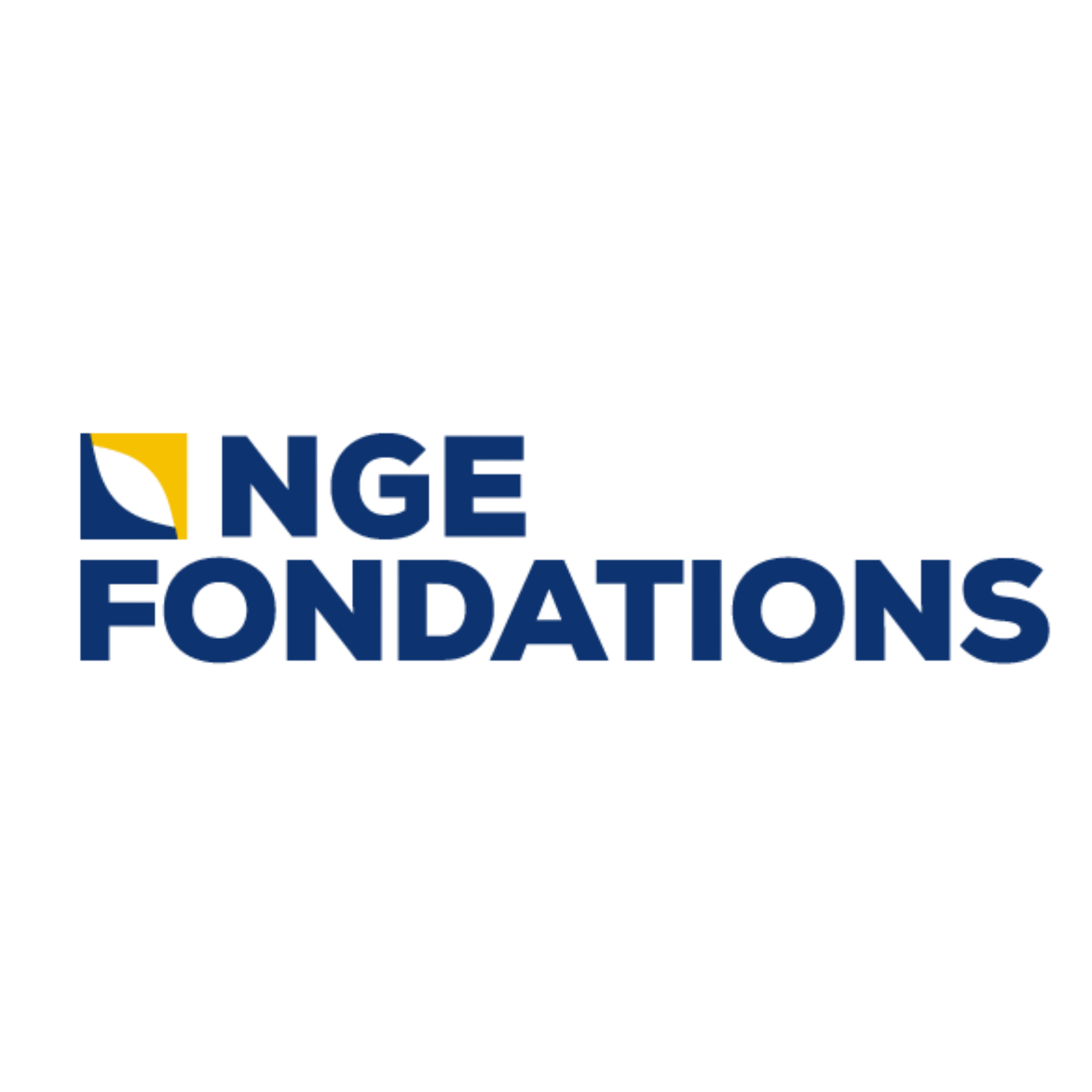 Logo de la société NGE 