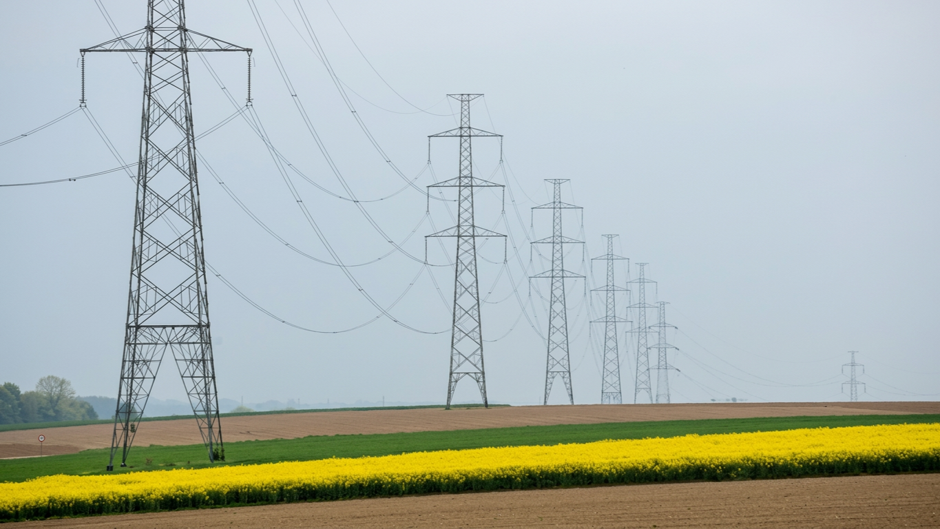 Lignes électriques à haute tension traversant un champ avec des fleurs jaunes et des terres agricoles.