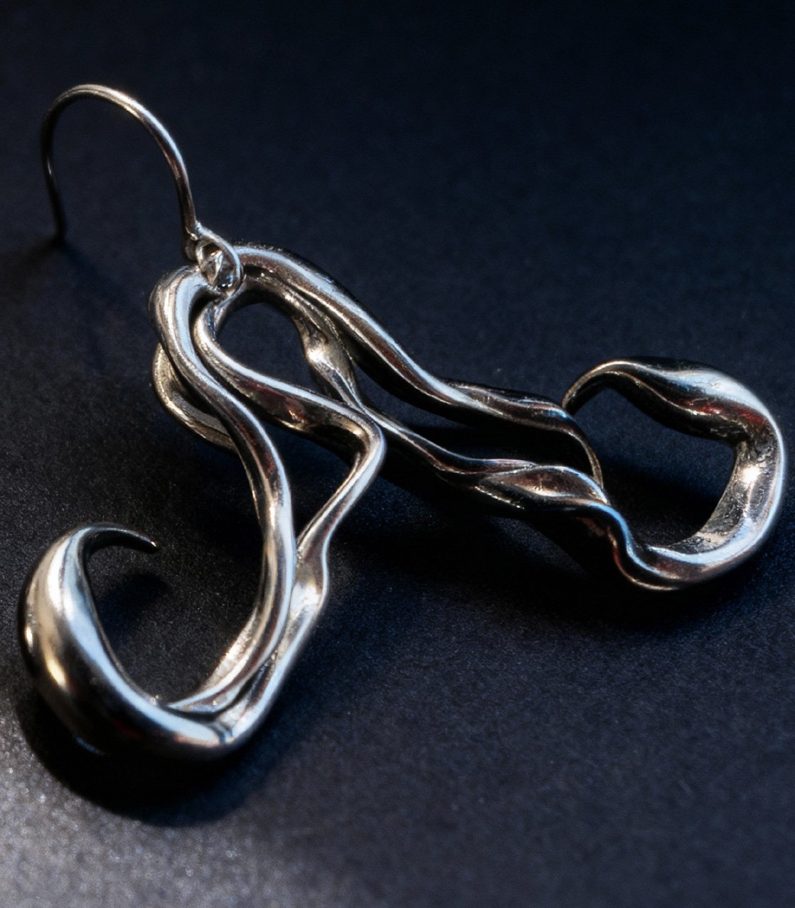 Scorpio Trail Earings_3.jpg