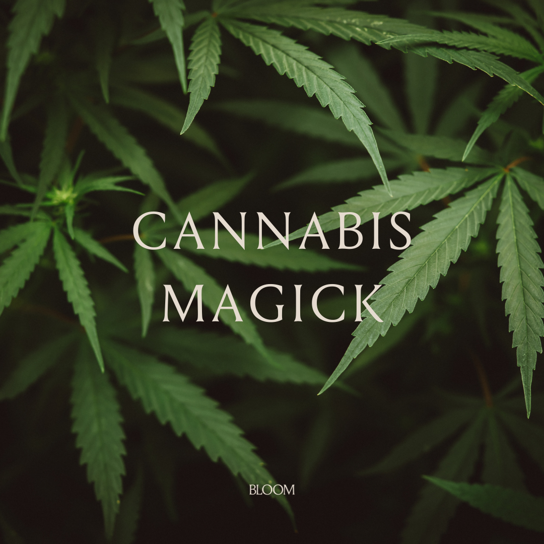 CANNABIS MAGICK.png