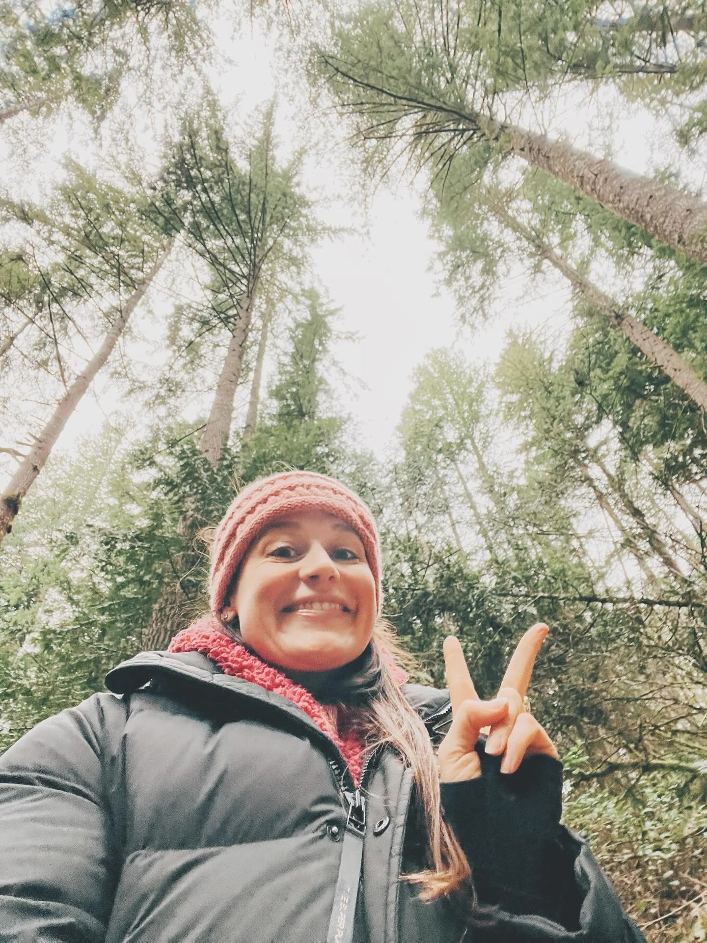 walked into the woods today to breathe the freshest air, and let my mind wander through all the words I wrote this morning. 

I sat in the coffee house for 4 hours, analyzing the scenes in my novel &mdash; searching for clues. Where is the structure 