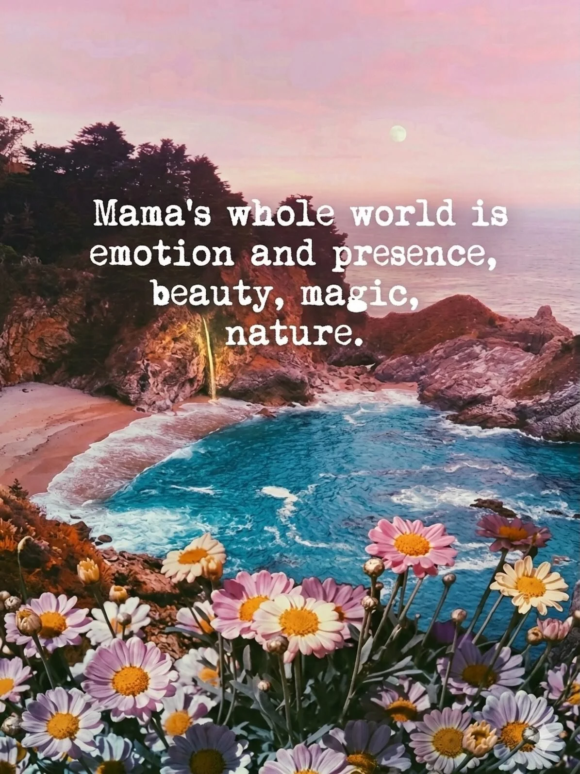 🌻✨