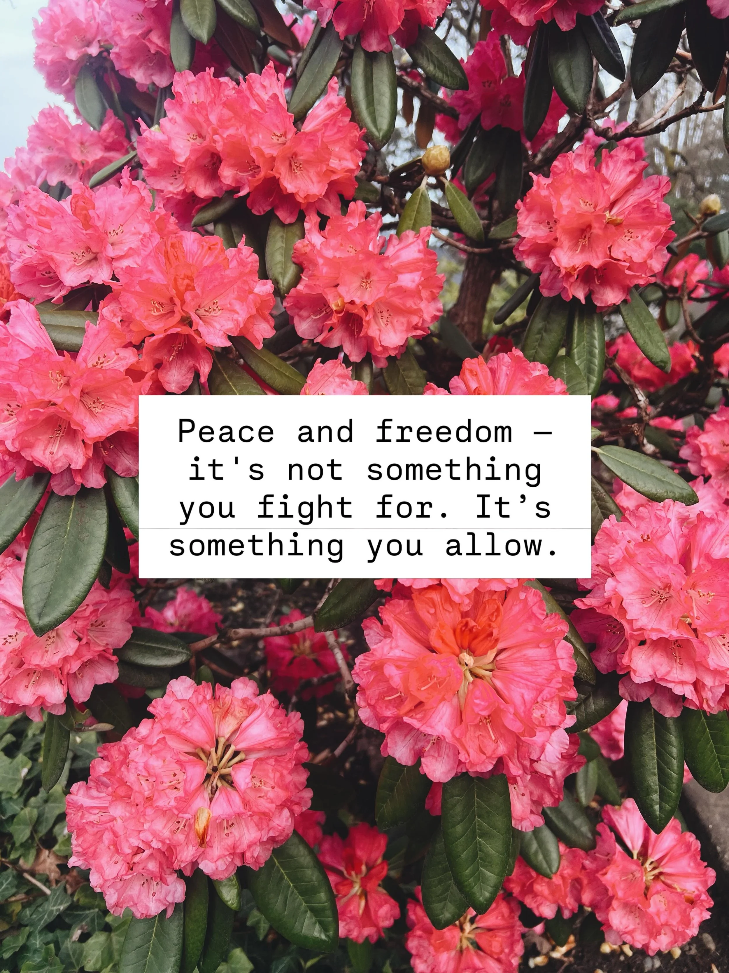 I&rsquo;ve been trying so hard to make the world a better place. 

Even from my early teenage years, I saw visions of world peace but mother fucker, what a mission. Im tempted to say impossible but that would entail surrender, giving up, quitting on 