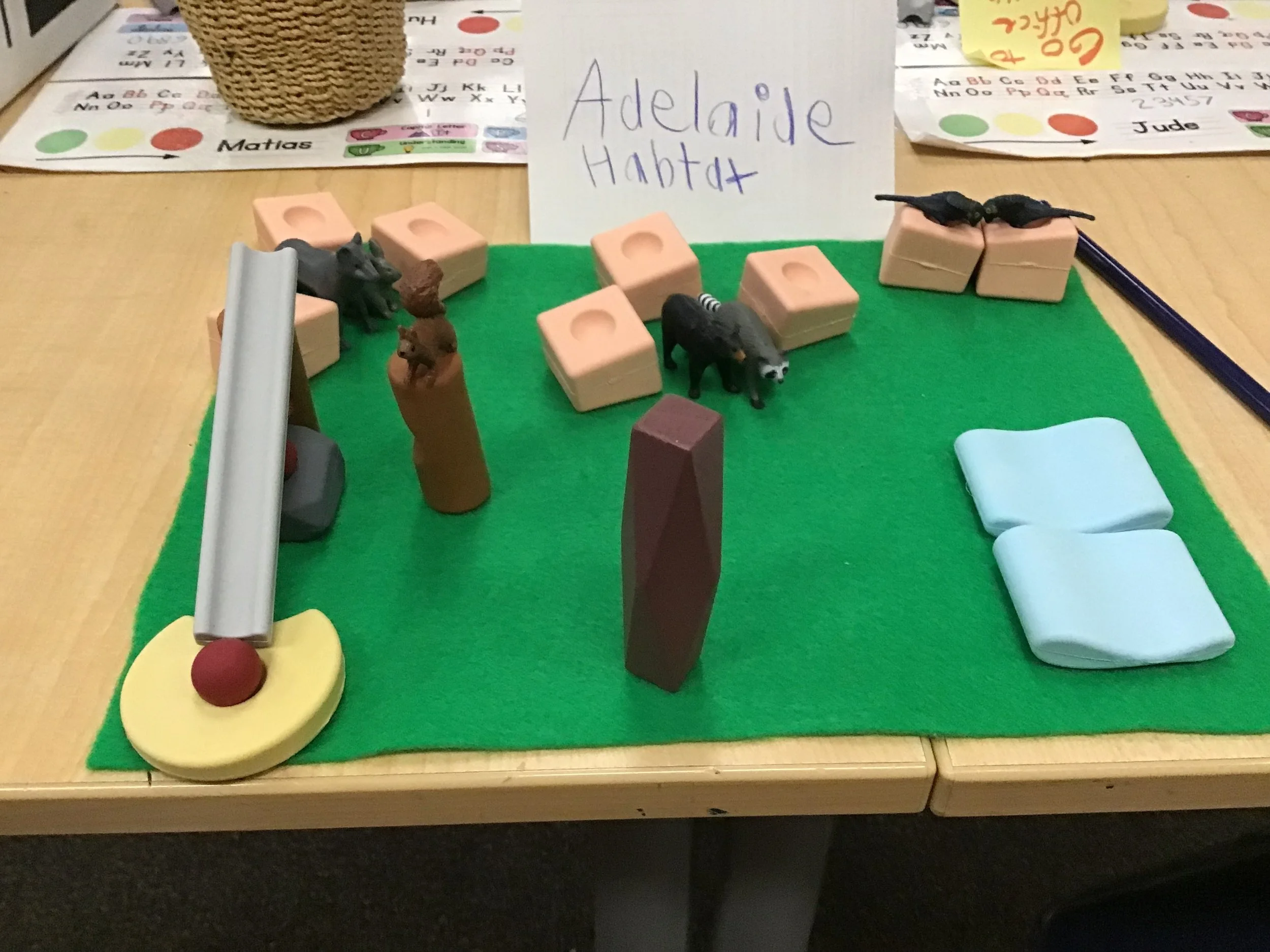 All First Grade Classes