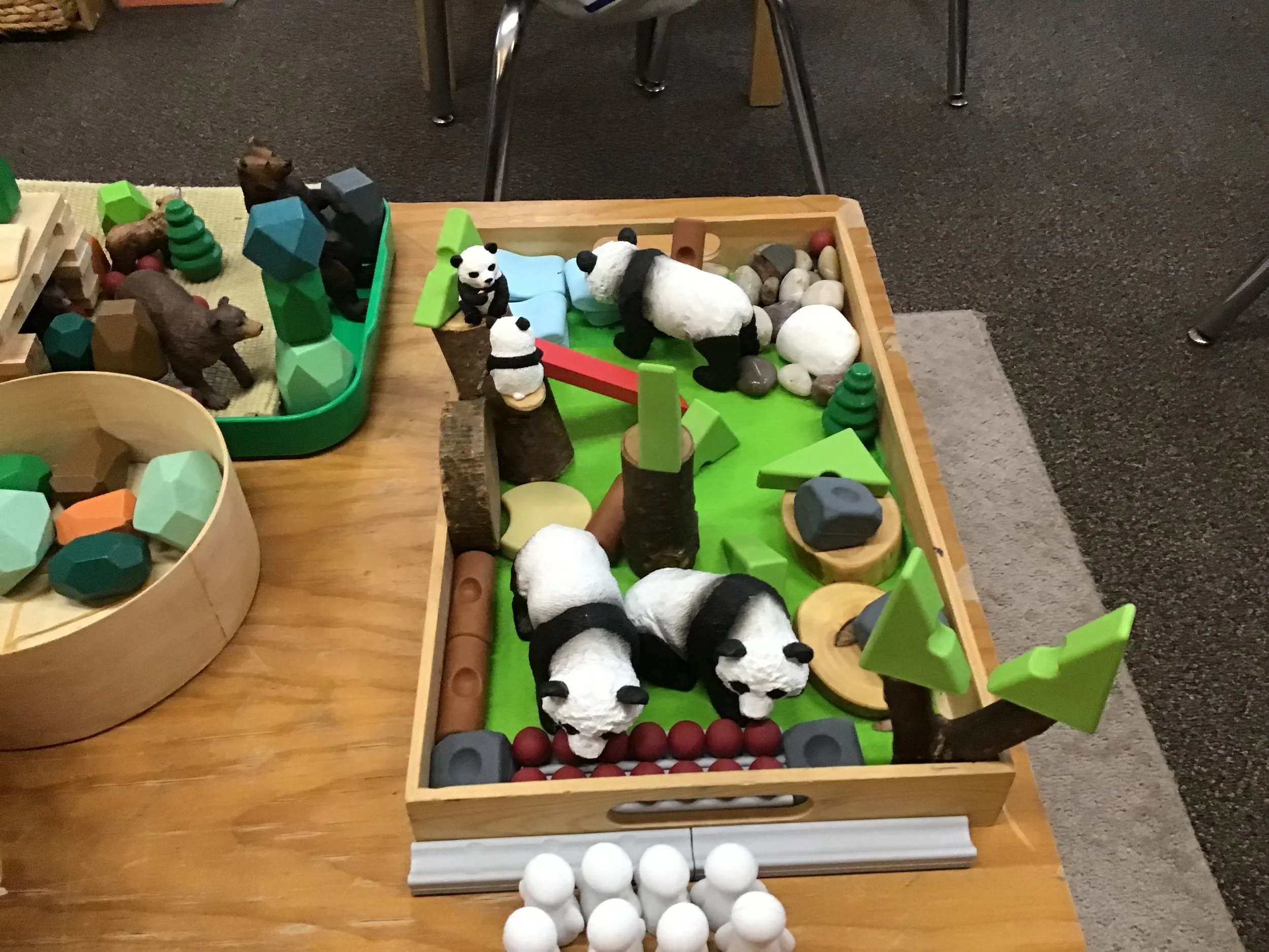 All First Grade Classes