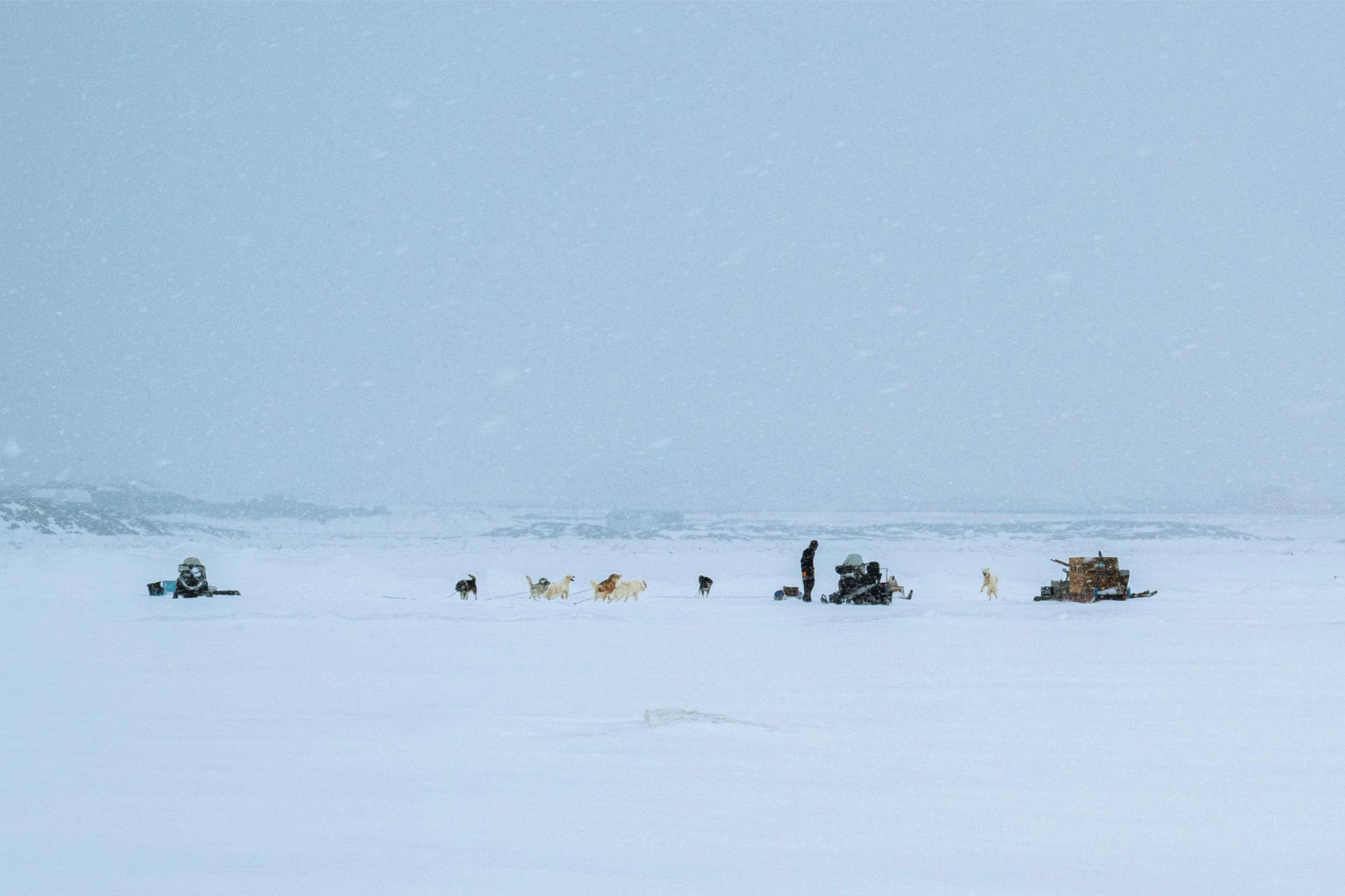 _DSC9247.jpg