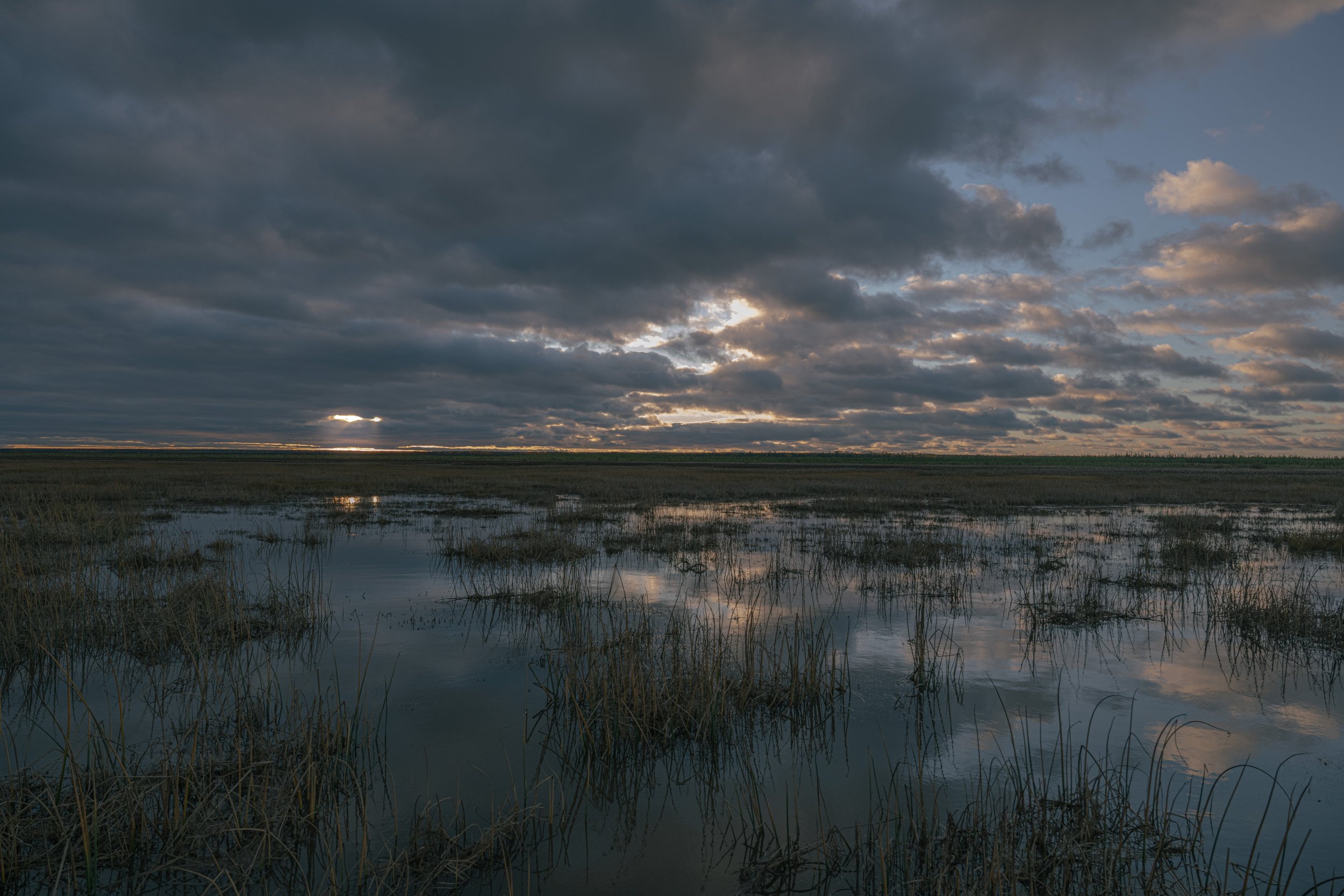 Sunset over the tidal marshes of Cabbage Willows in Rupert Bay.