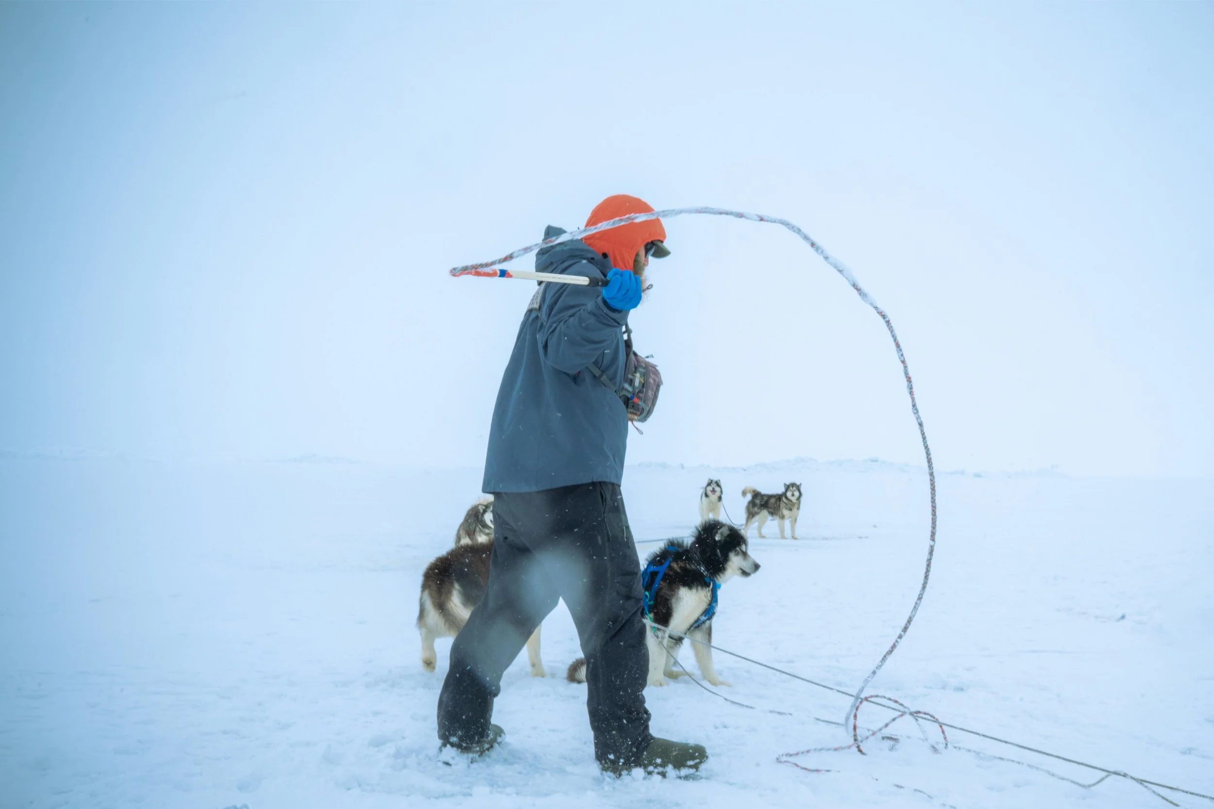 _DSC9369.jpg