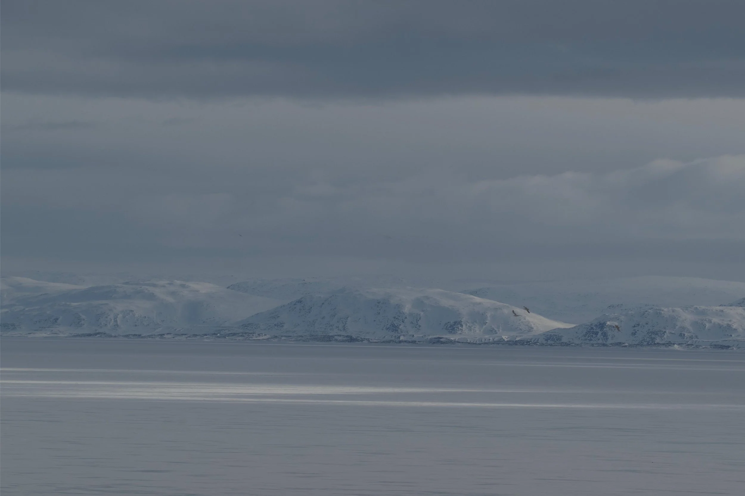 _DSC9007.jpg