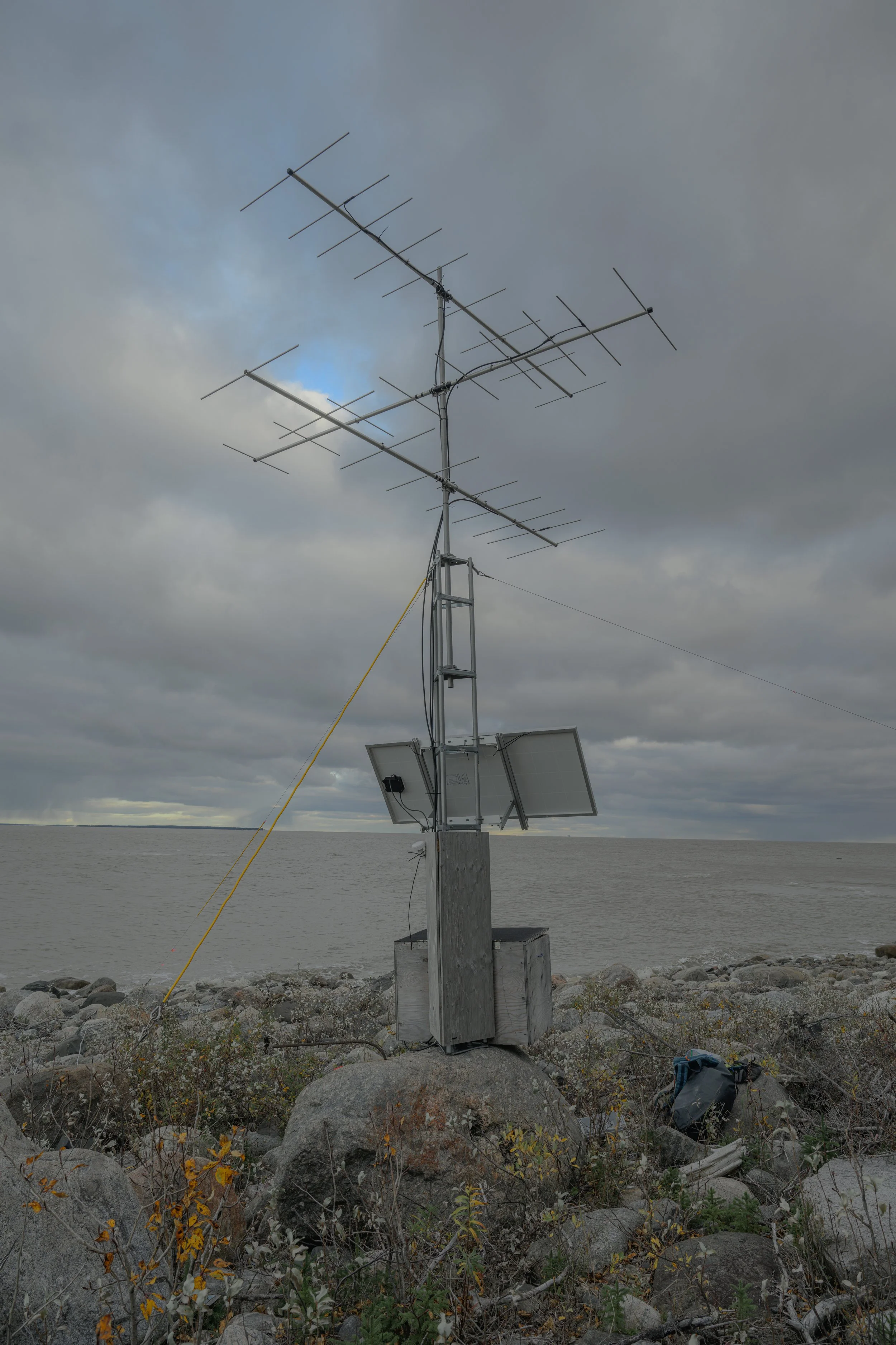 A MOTUS wildlife tracking tower used to monitor the migration of the Yellow Rail.