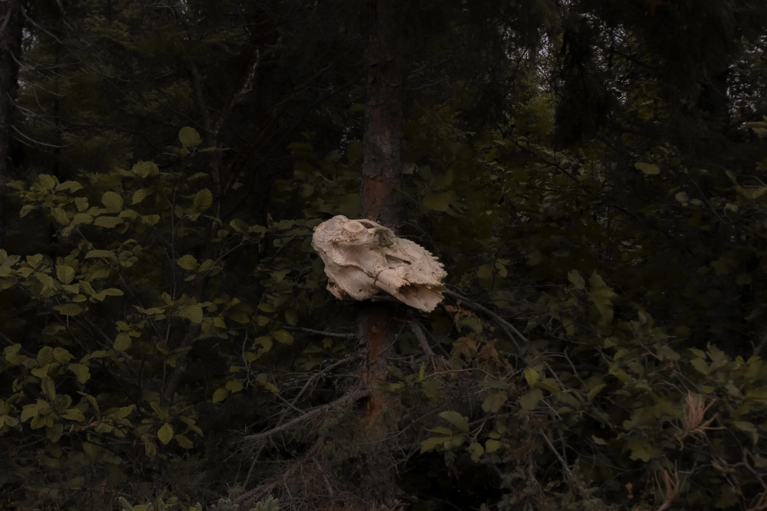 DSCF0175.jpg