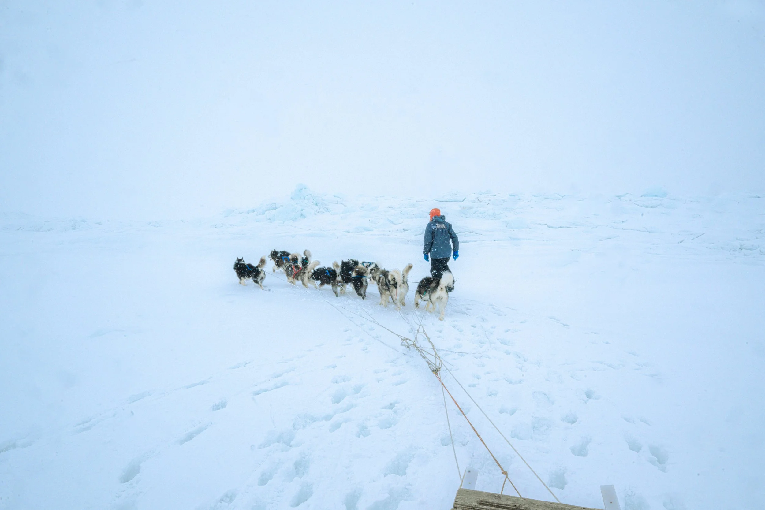 _DSC9635.jpg