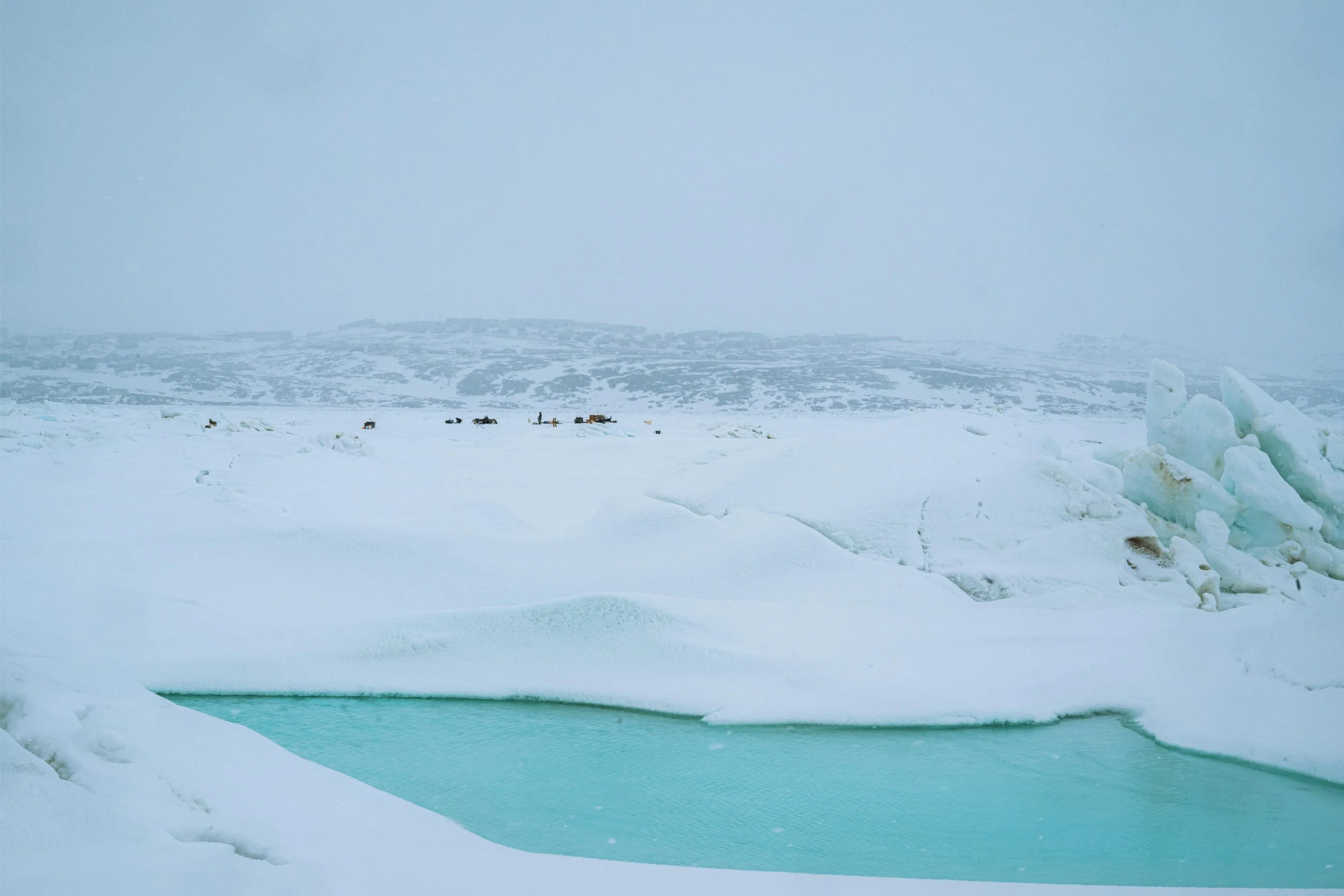 _DSC9233.jpg