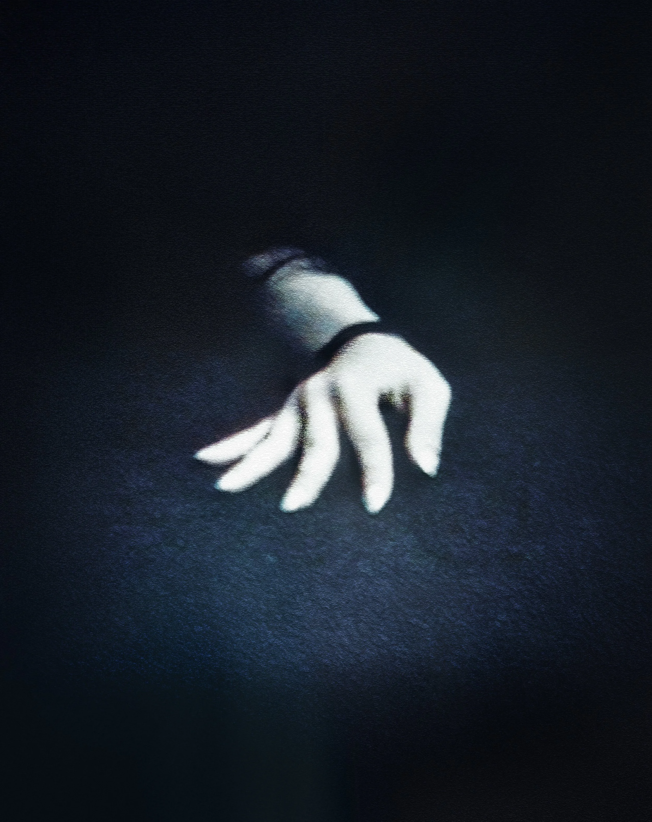 Photo 17-12-2025, 11 24 09 (3) (edited)f.jpg