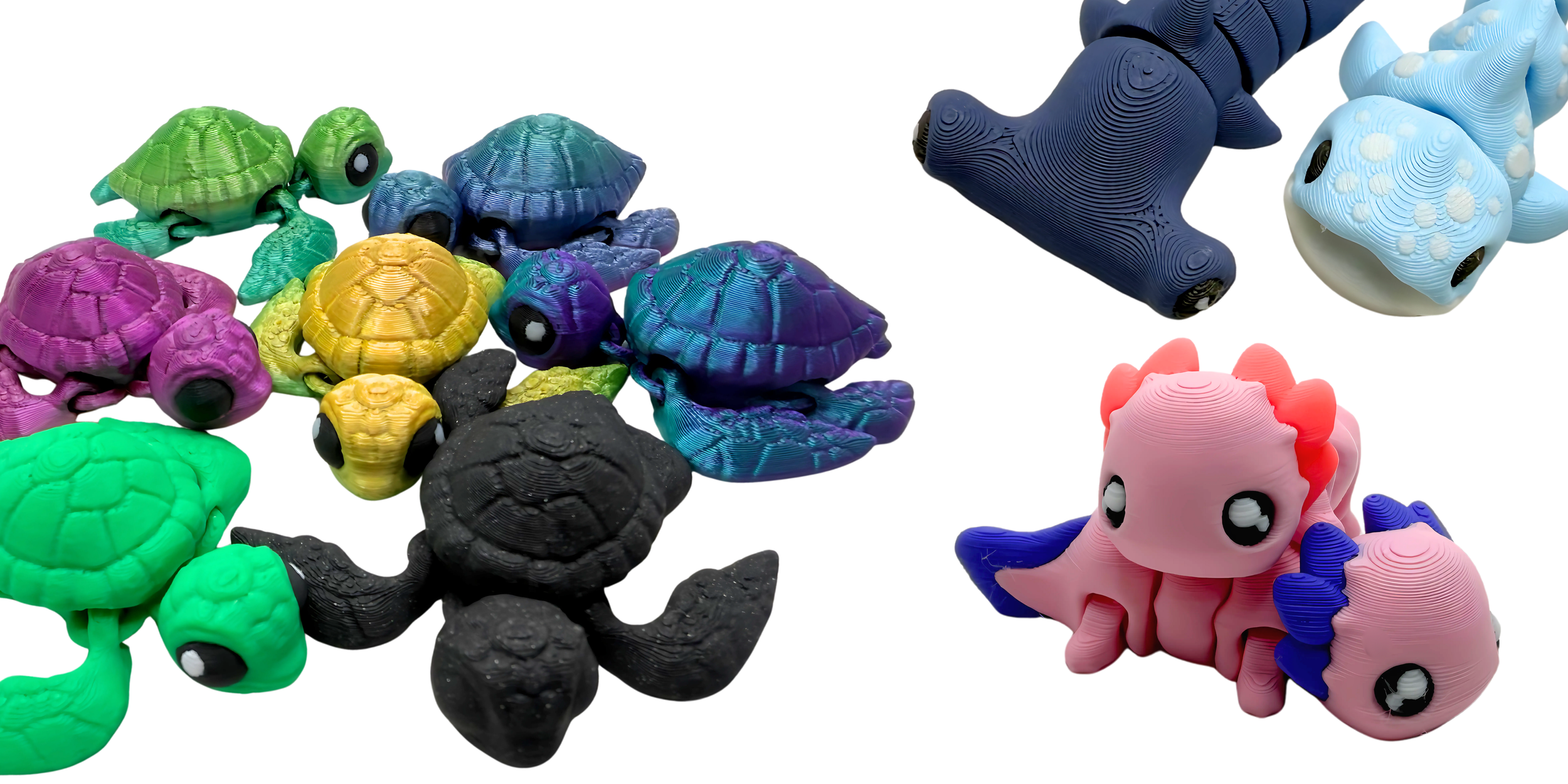 Website Banner Photos (1).png