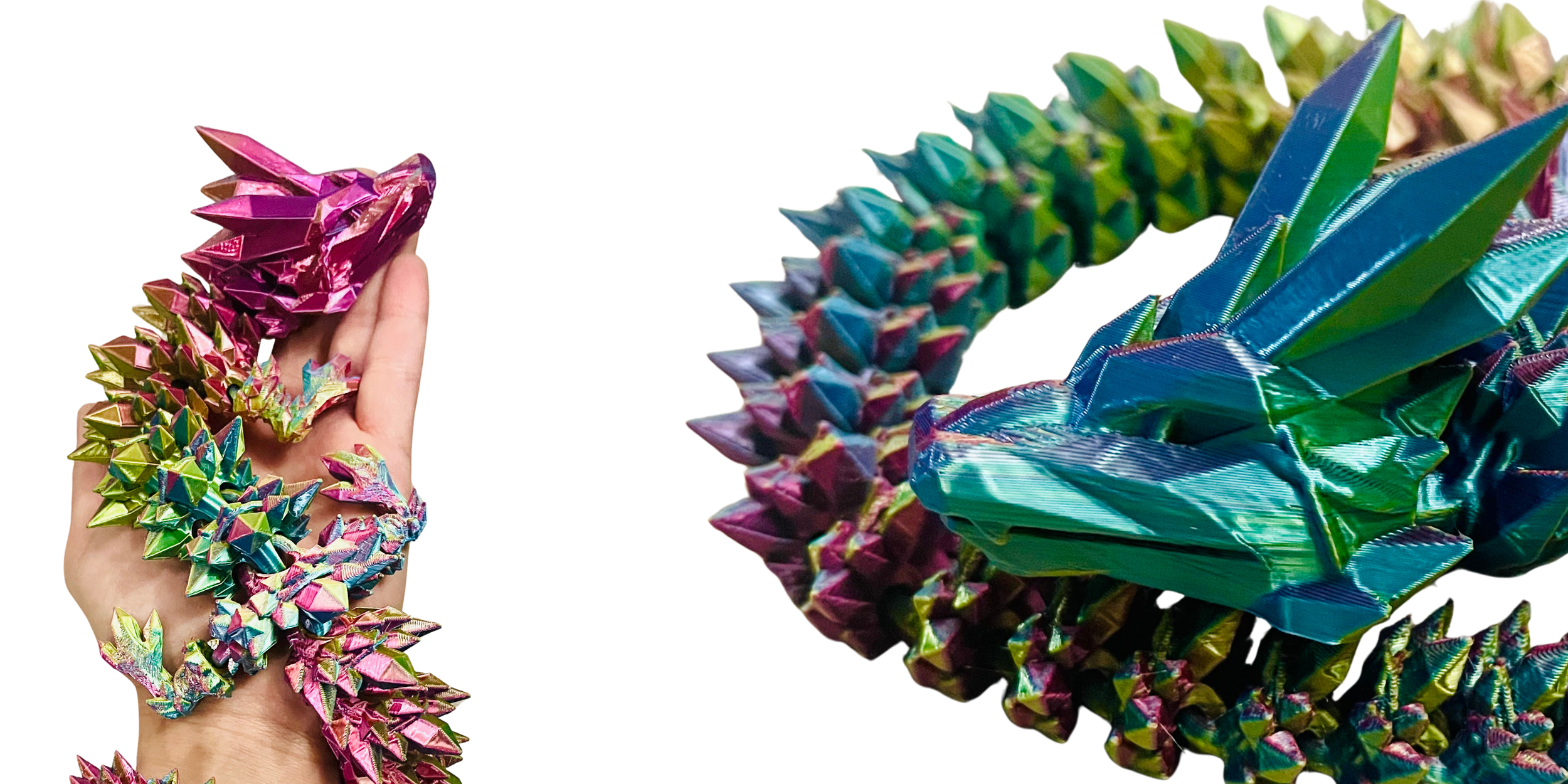 Website Banner Photos.png