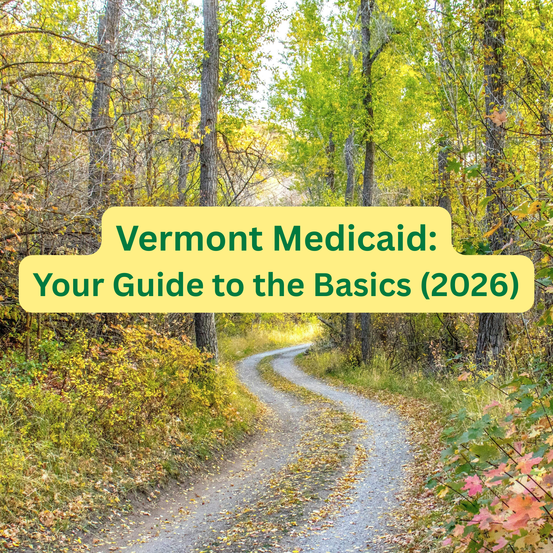 Vermont Medicaid: Your Guide to the Basics (2026)