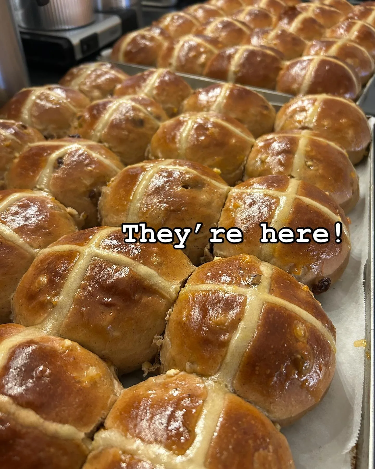 @sourdoughrevolutionbakery hot cross buns have arrived!