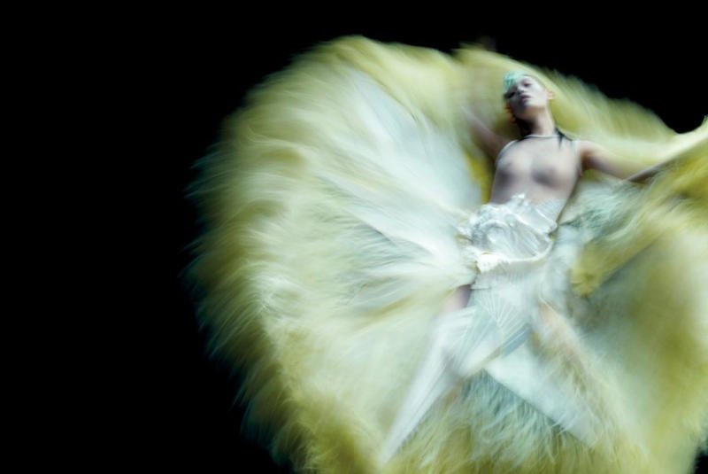 Cygnet