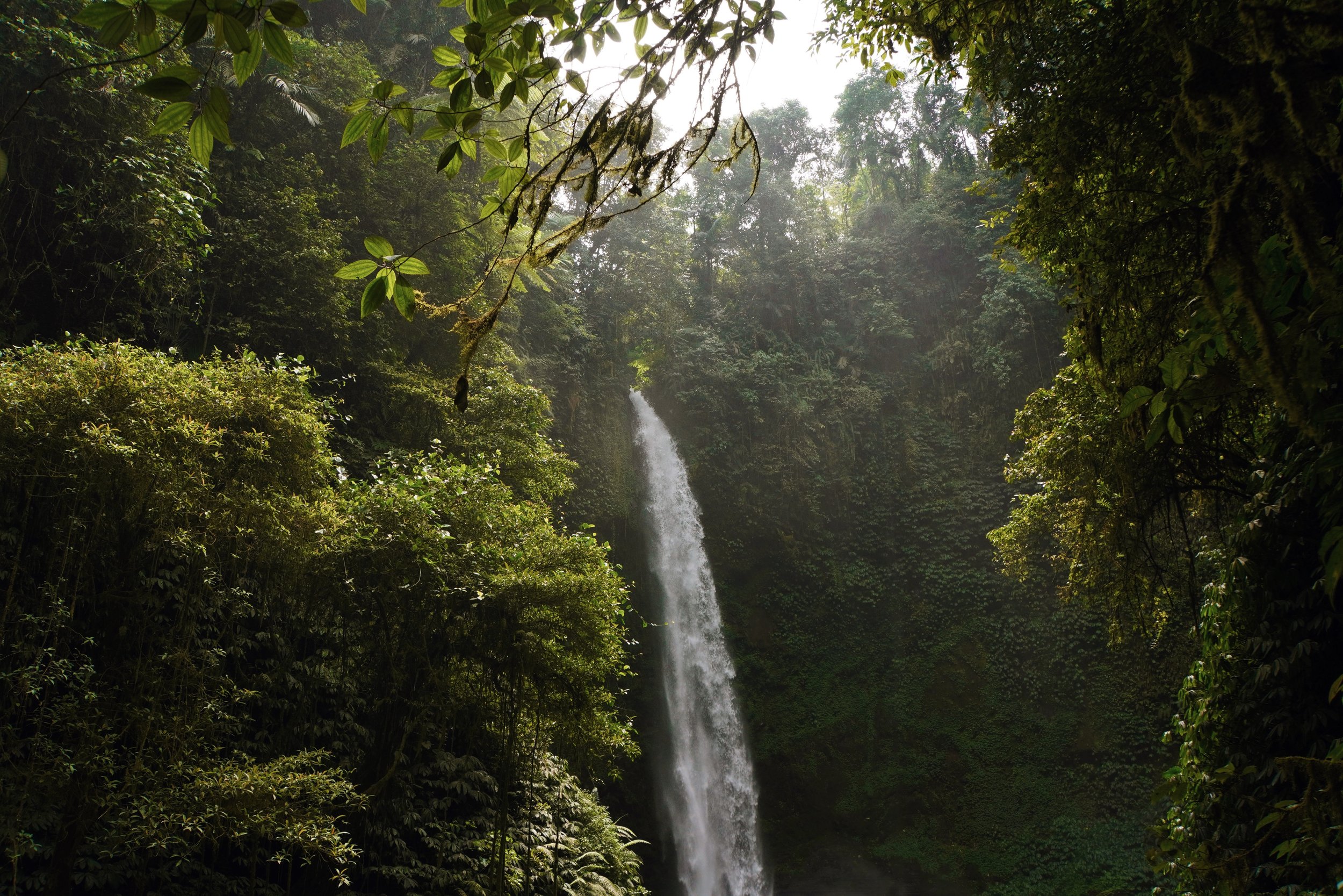 Bali, June 2023