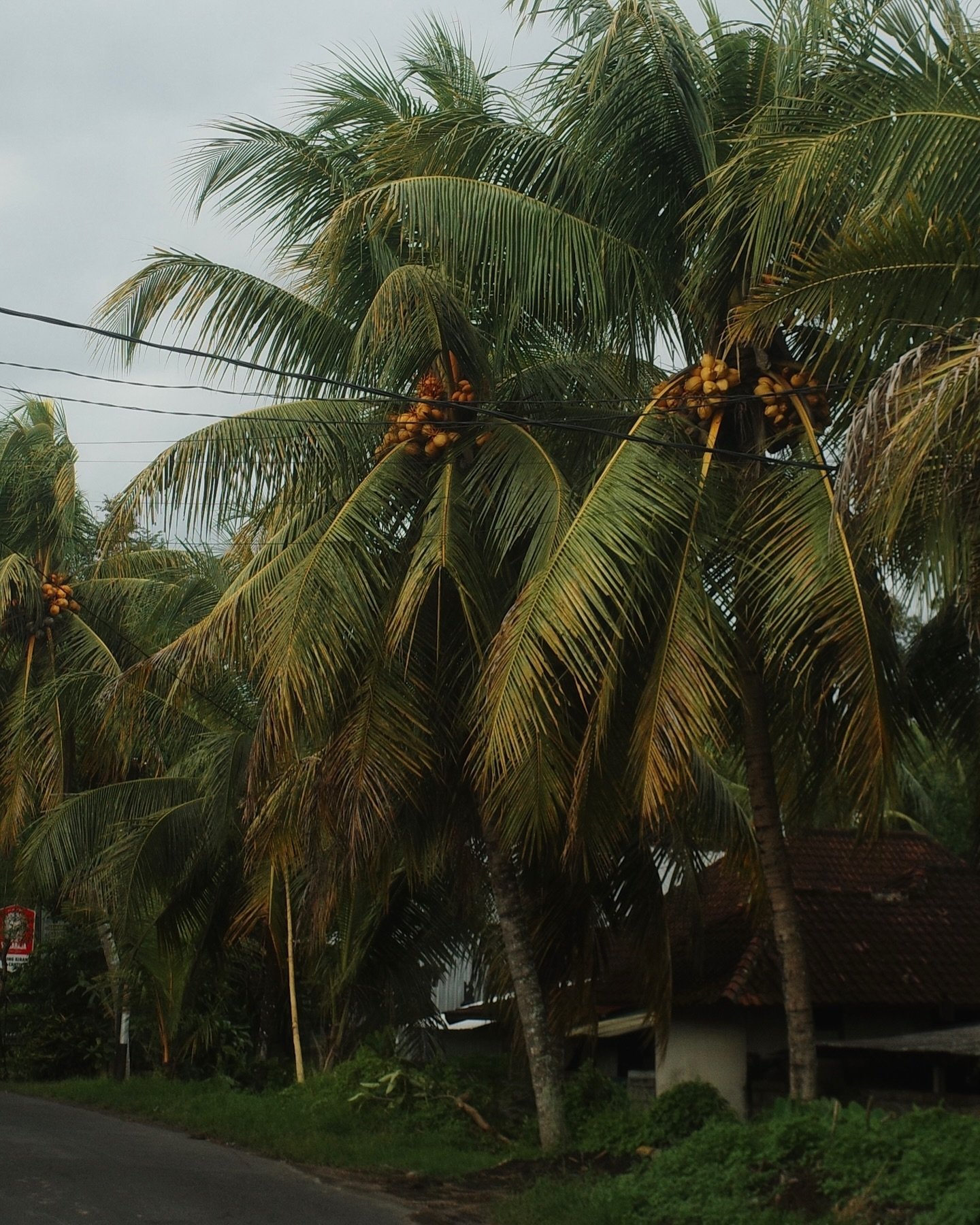 Bali, June 2024