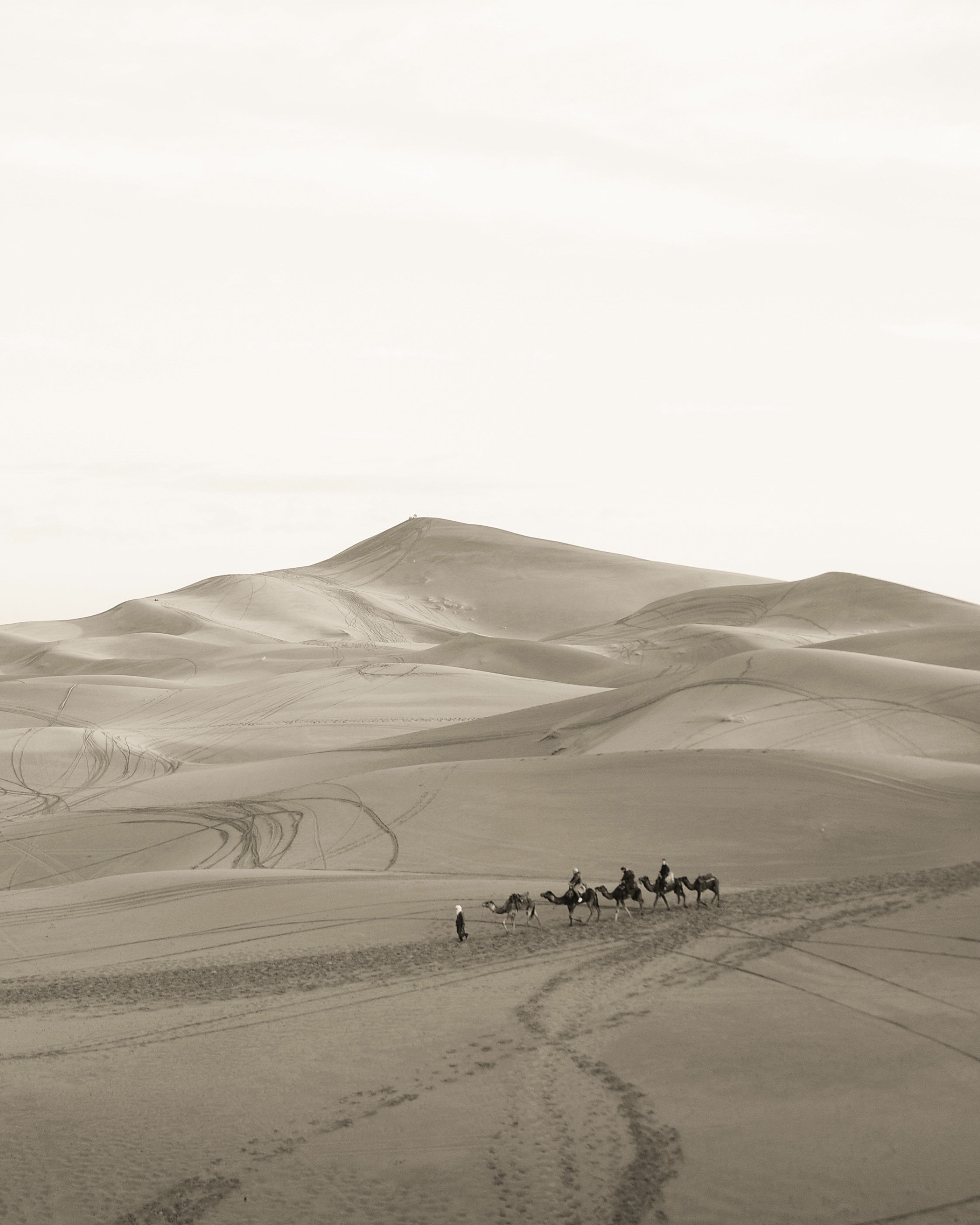 Sahara Desert, December 2024