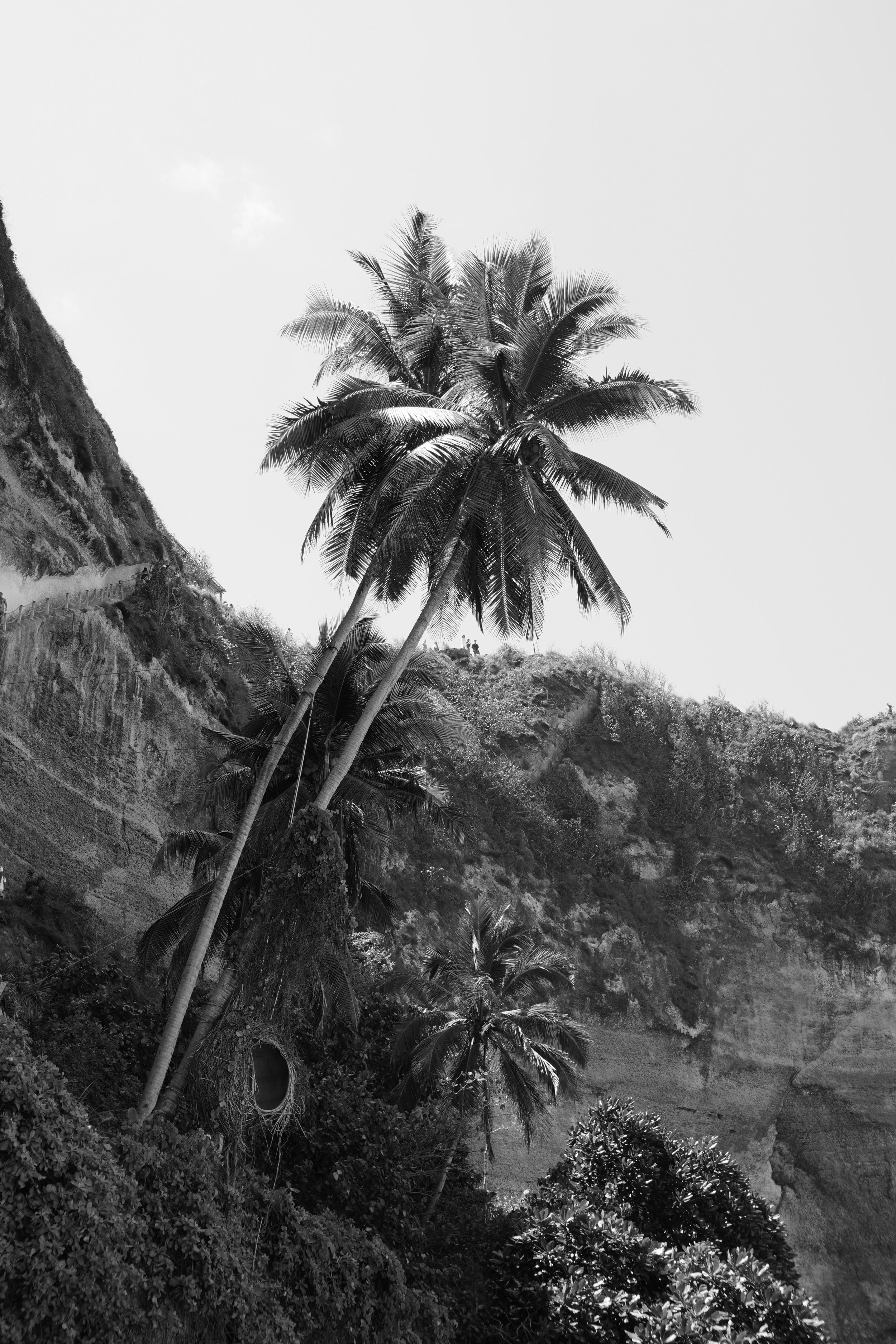 Bali, July 2023