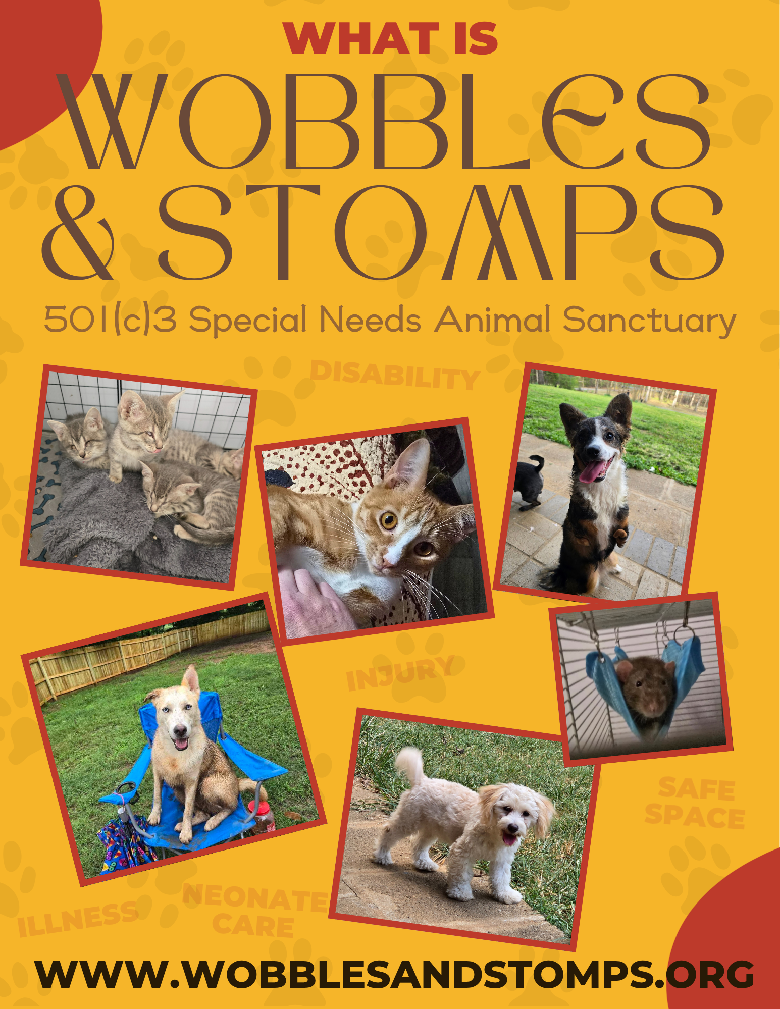Wobbles &amp; Stomps 