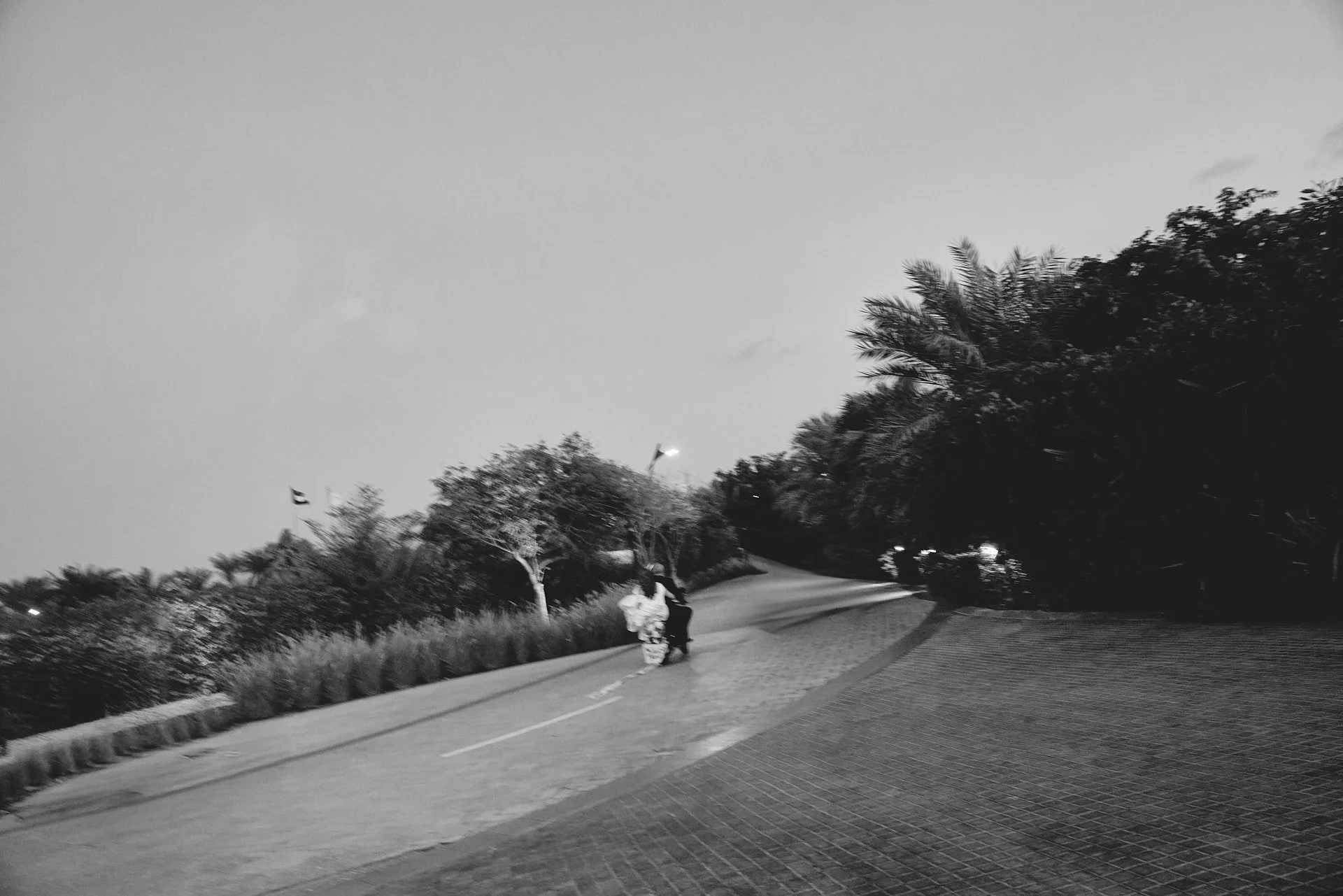 030.jpg