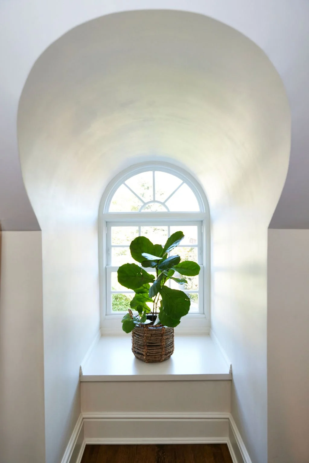 13 2024_MDaddio_Larchmont_146 copy.jpg