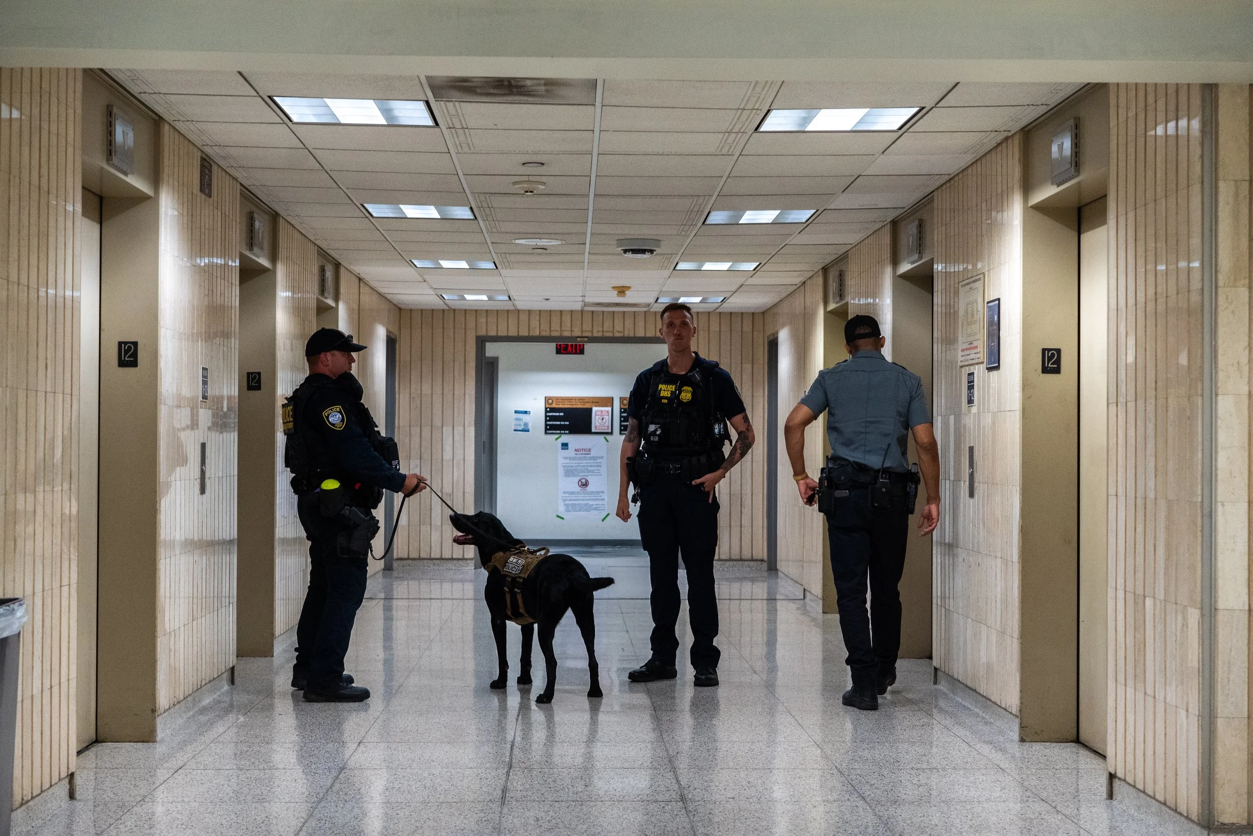 Officers and a K9 unit patrol the elevator bank outside the immigration court.