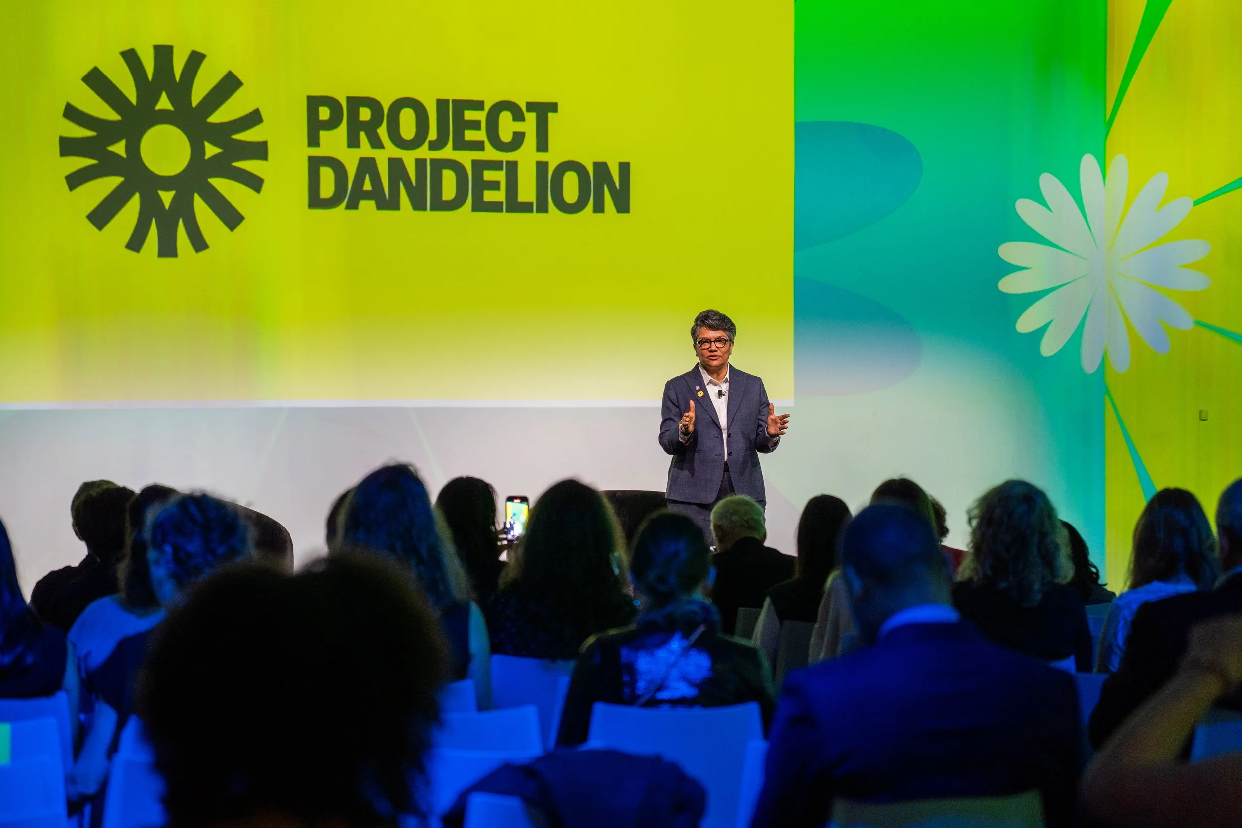 dandelions_day_one16.jpg