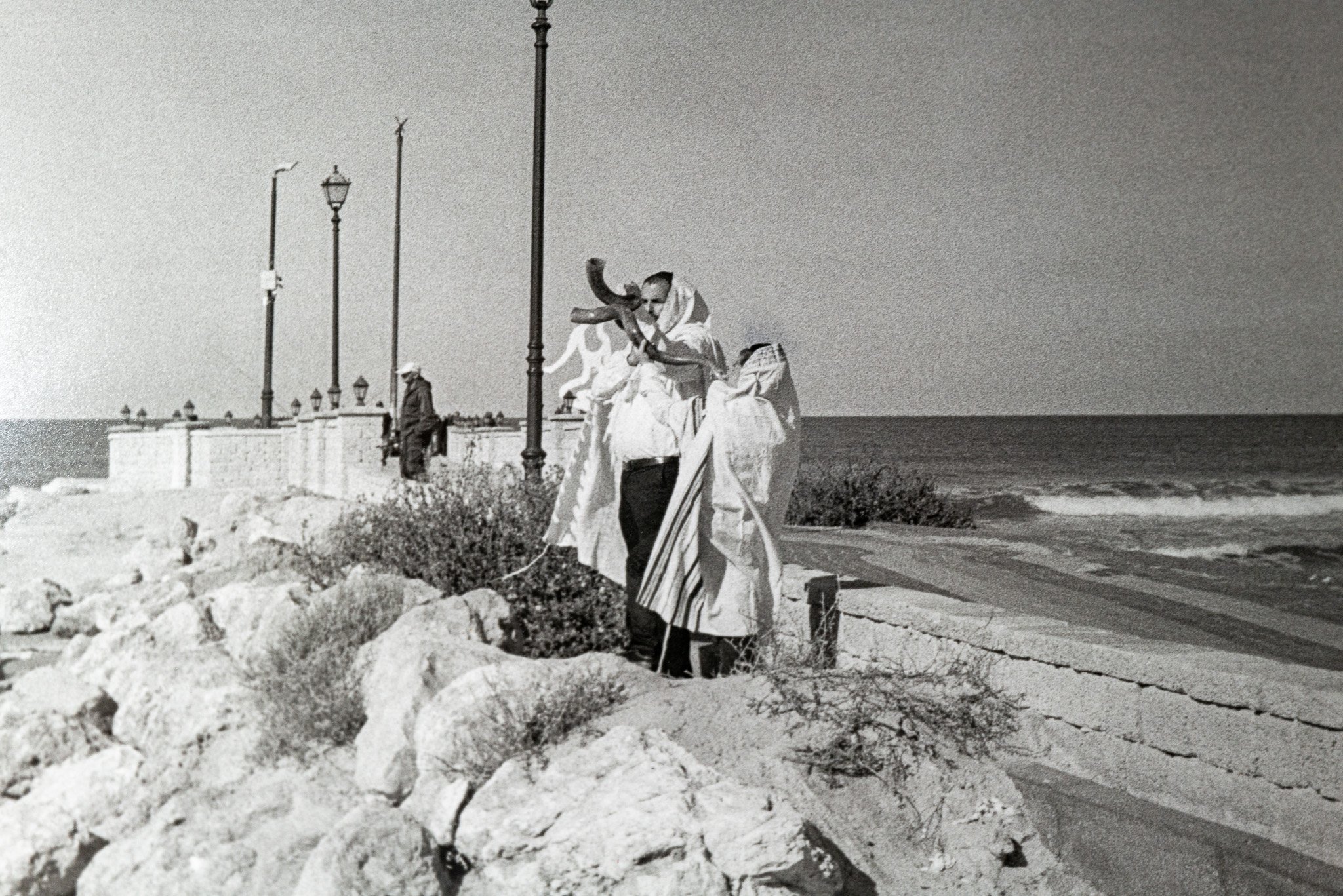 L1032124.jpg