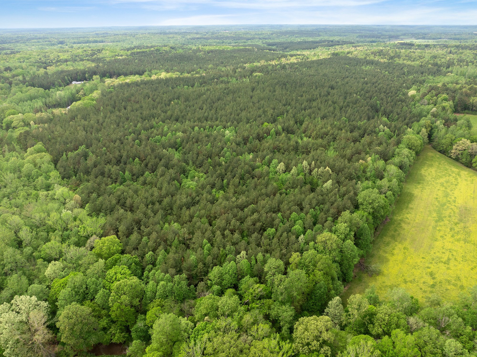 DJI_20250421150602_0809_D.jpg