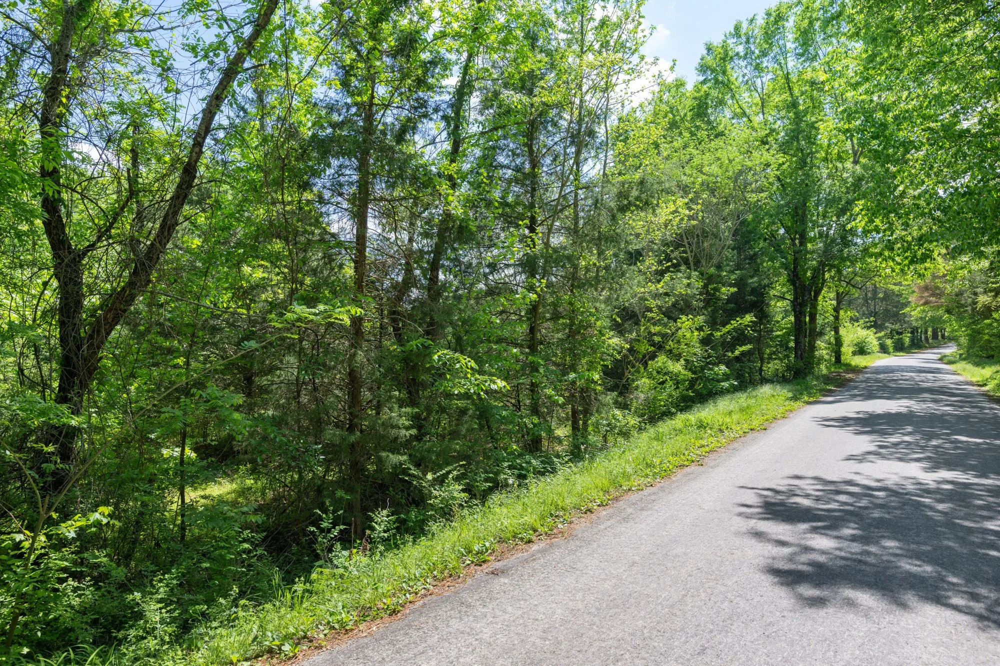 3. Tract 1 Road.jpg